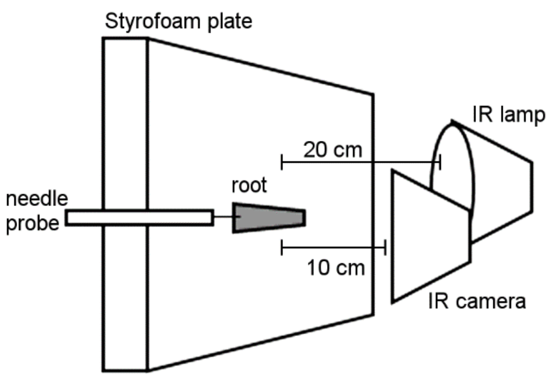 Plants 12 01695 g005 Plants 12 01695 g005