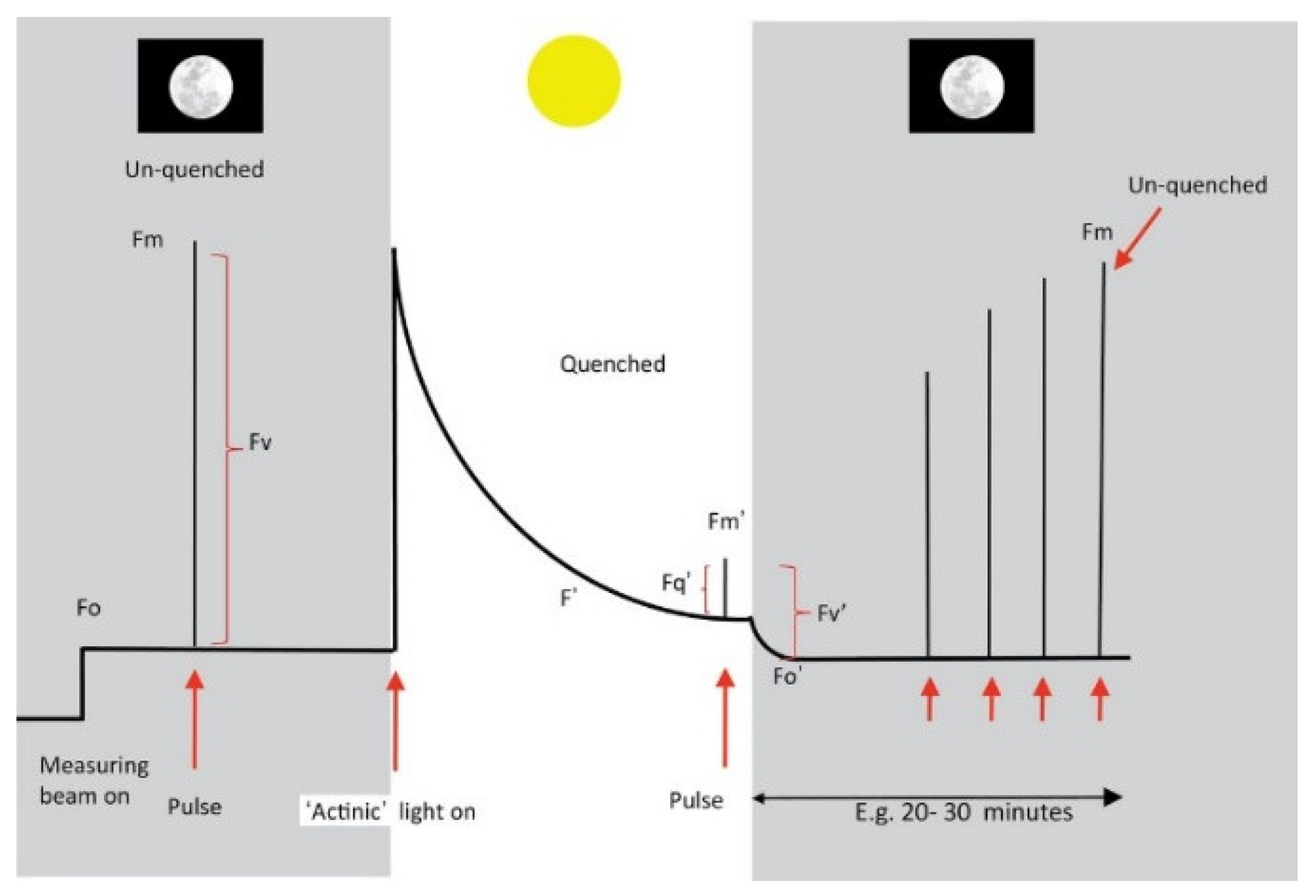 Plants 12 01698 g003