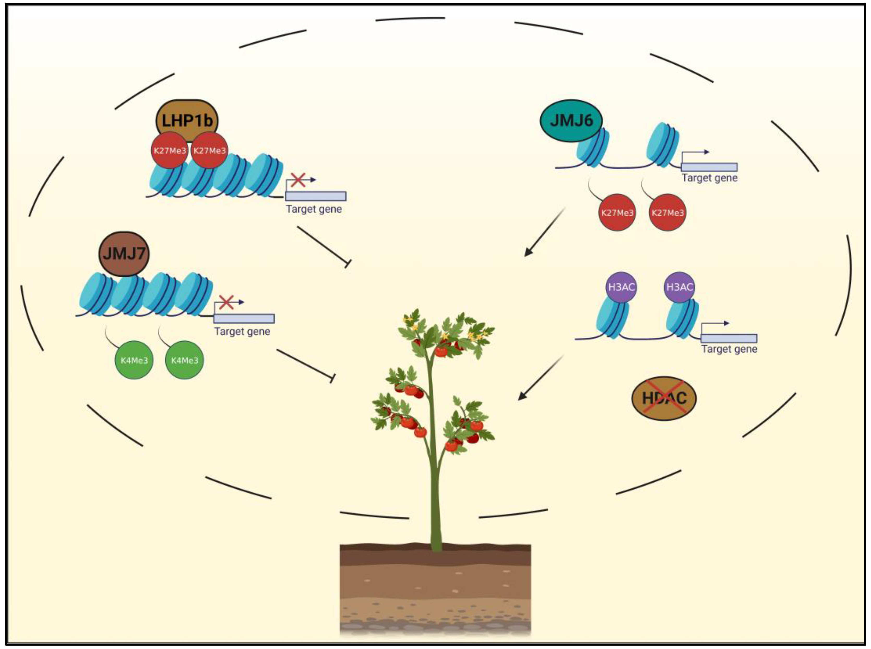 Plants 12 01712 g002 Plants 12 01712 g002
