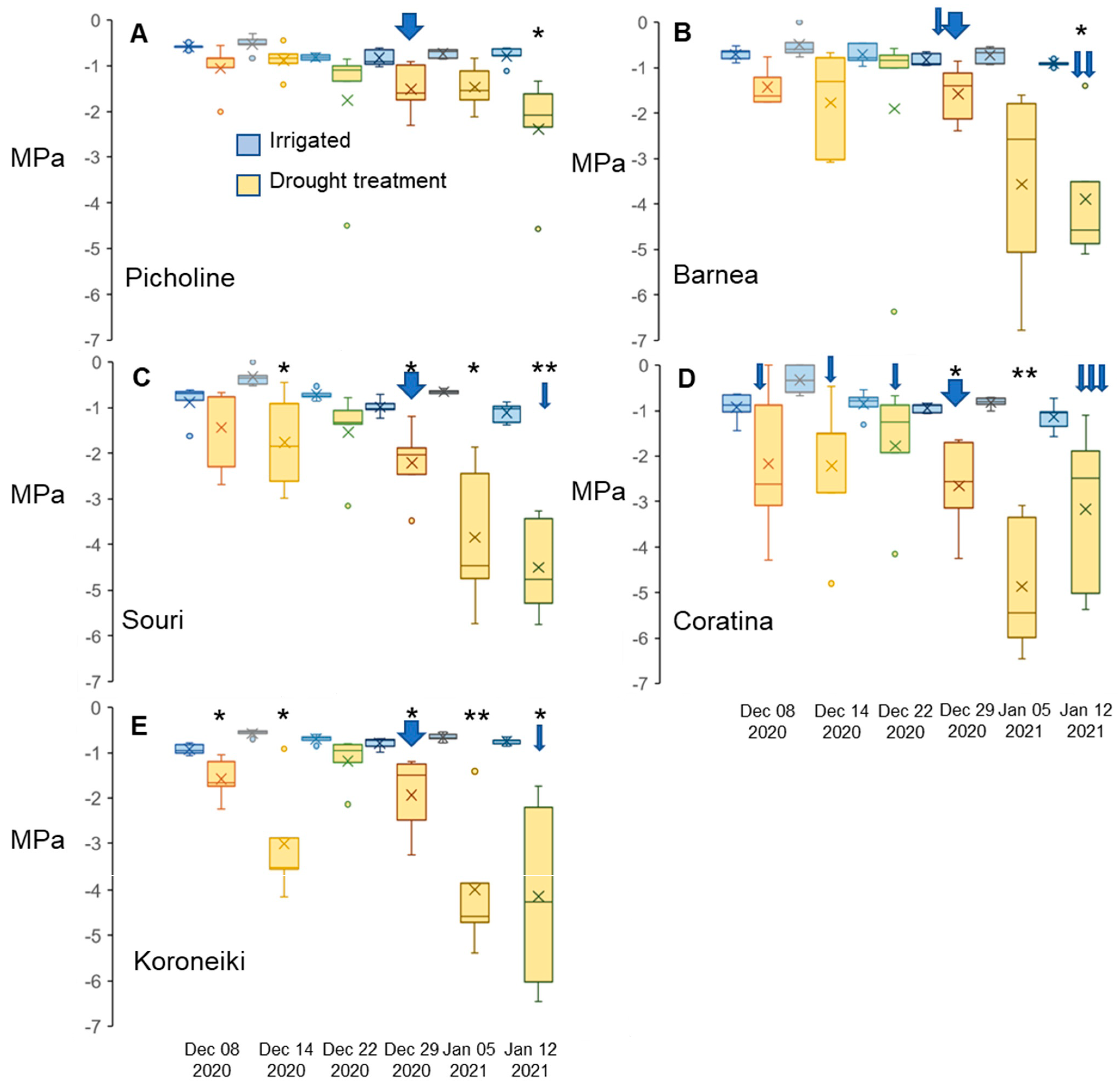 Plants 12 01714 g002