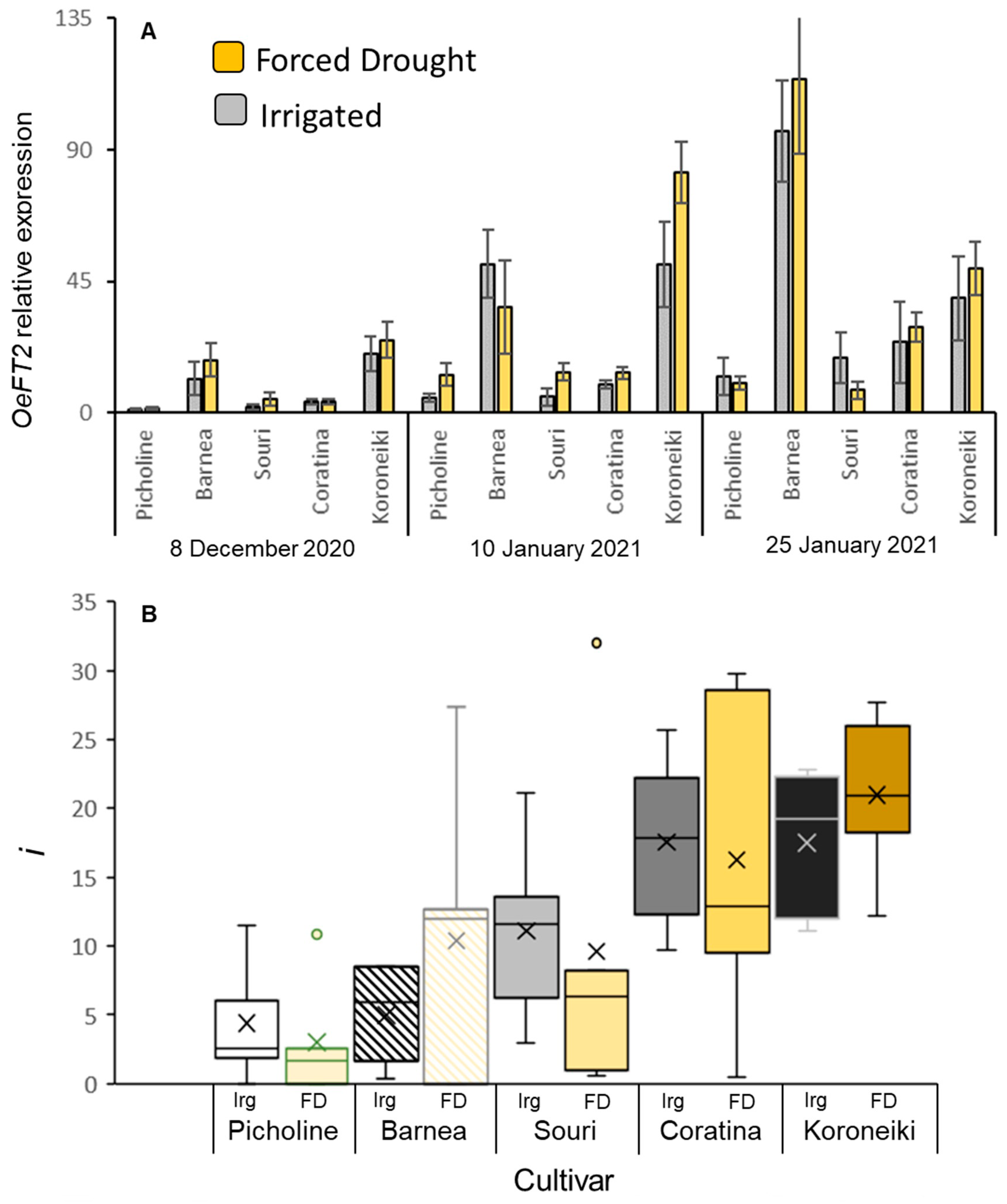 Plants 12 01714 g003
