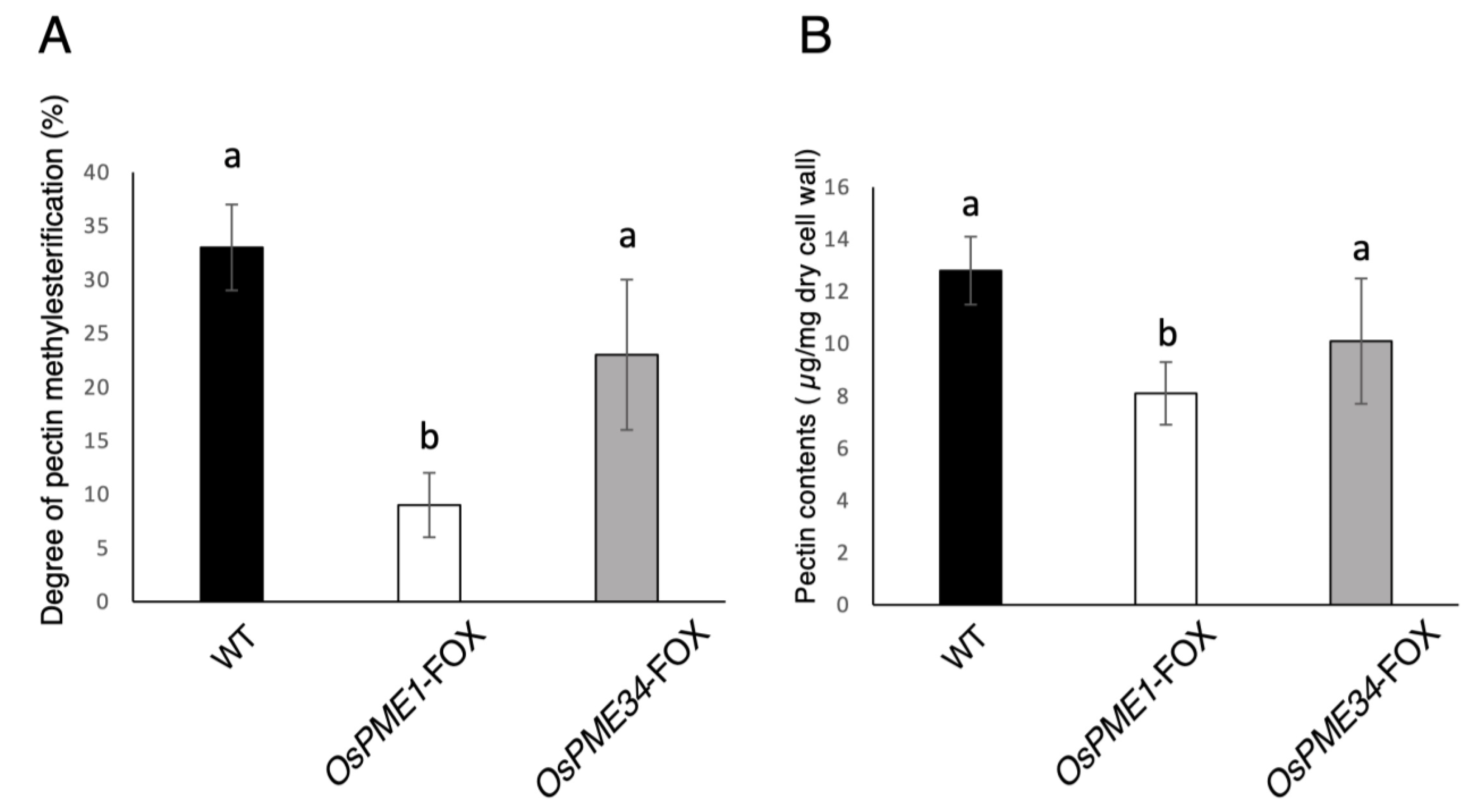 Plants 12 01717 g002 Plants 12 01717 g002