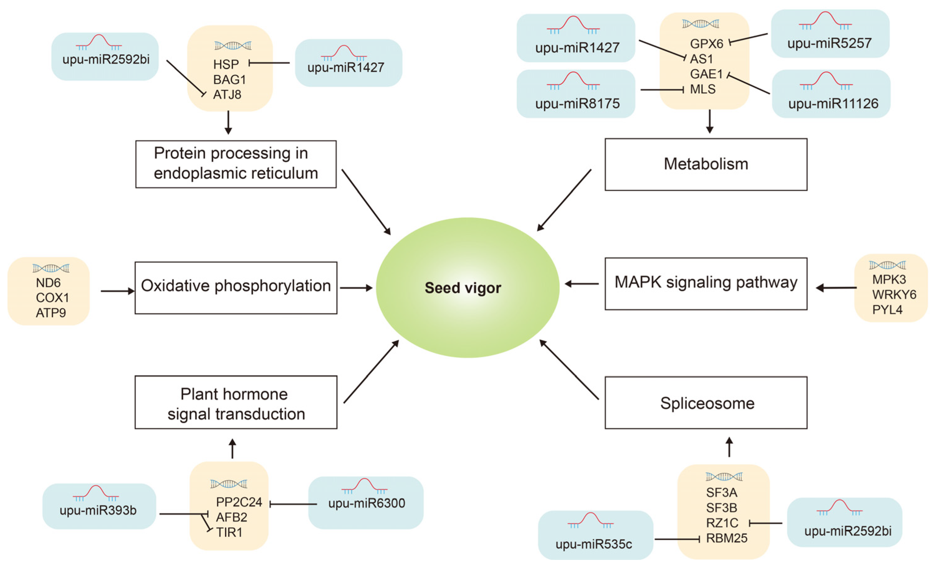 Plants 12 01719 g007