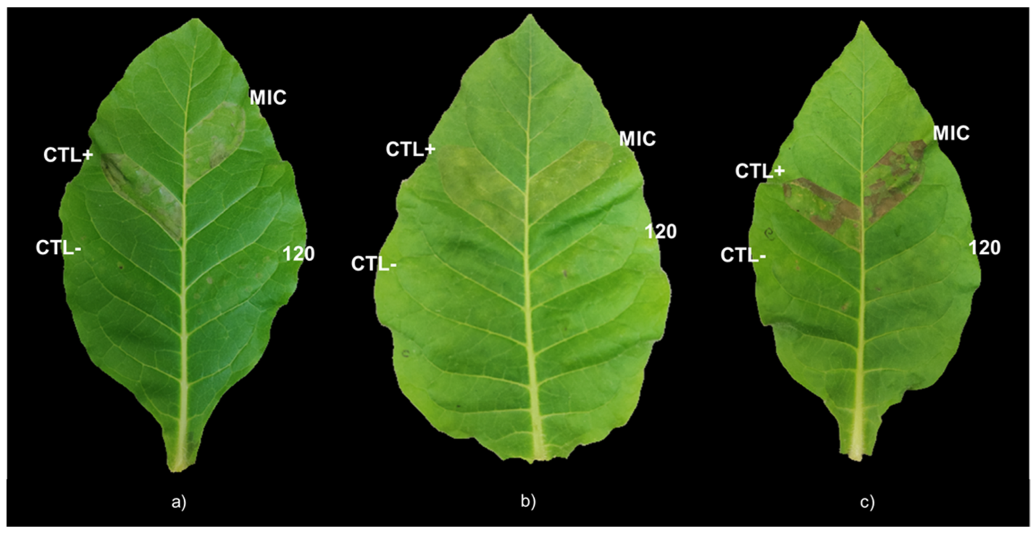 Plants 12 01727 g003