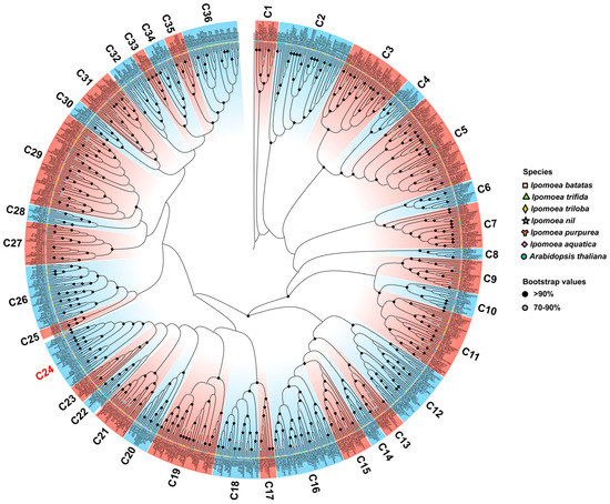 Genome-Wide Comparative Analysis of the R2R3-MYB Gene Family in Six ...