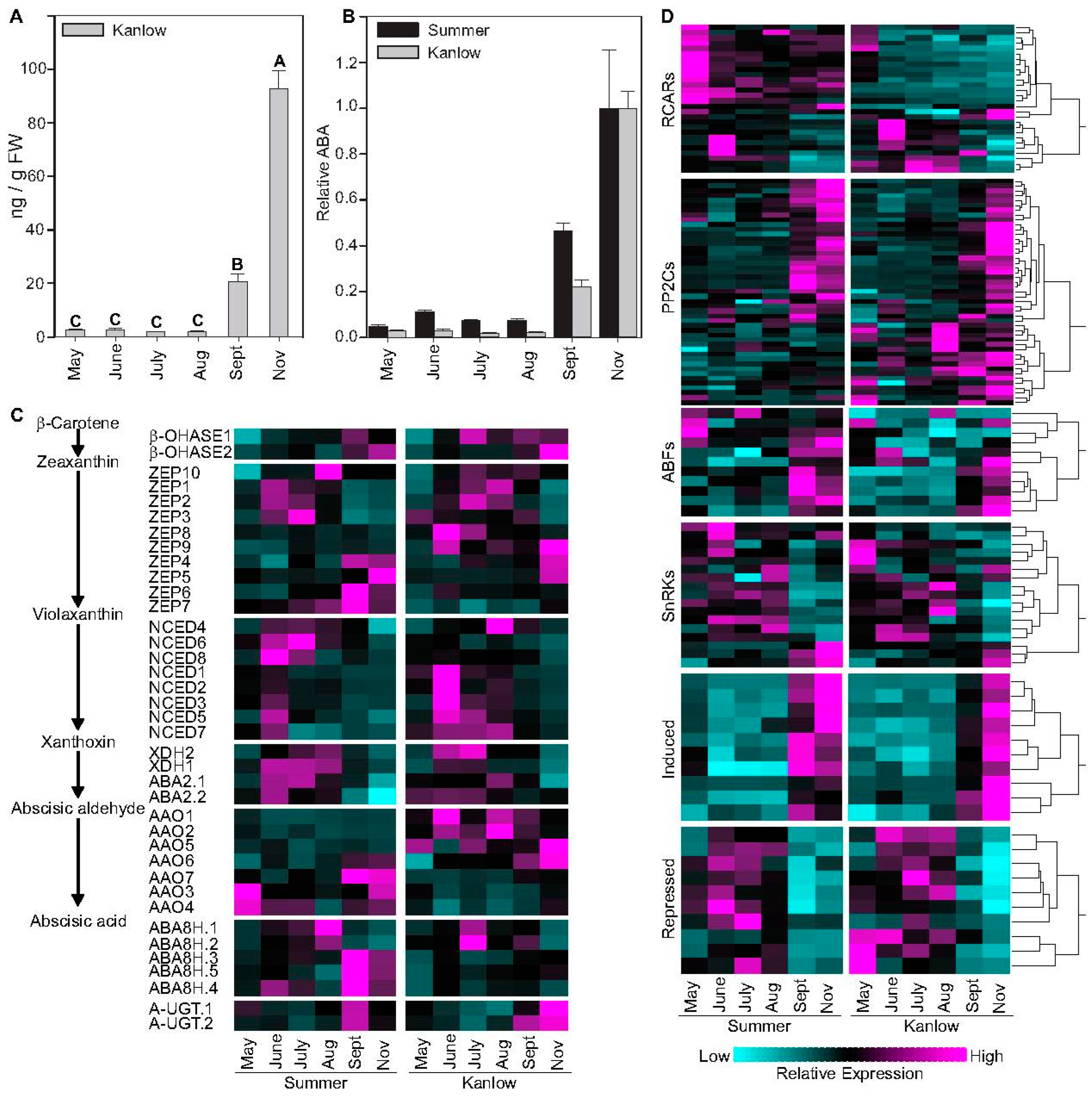 Plants 12 01732 g001 Plants 12 01732 g001