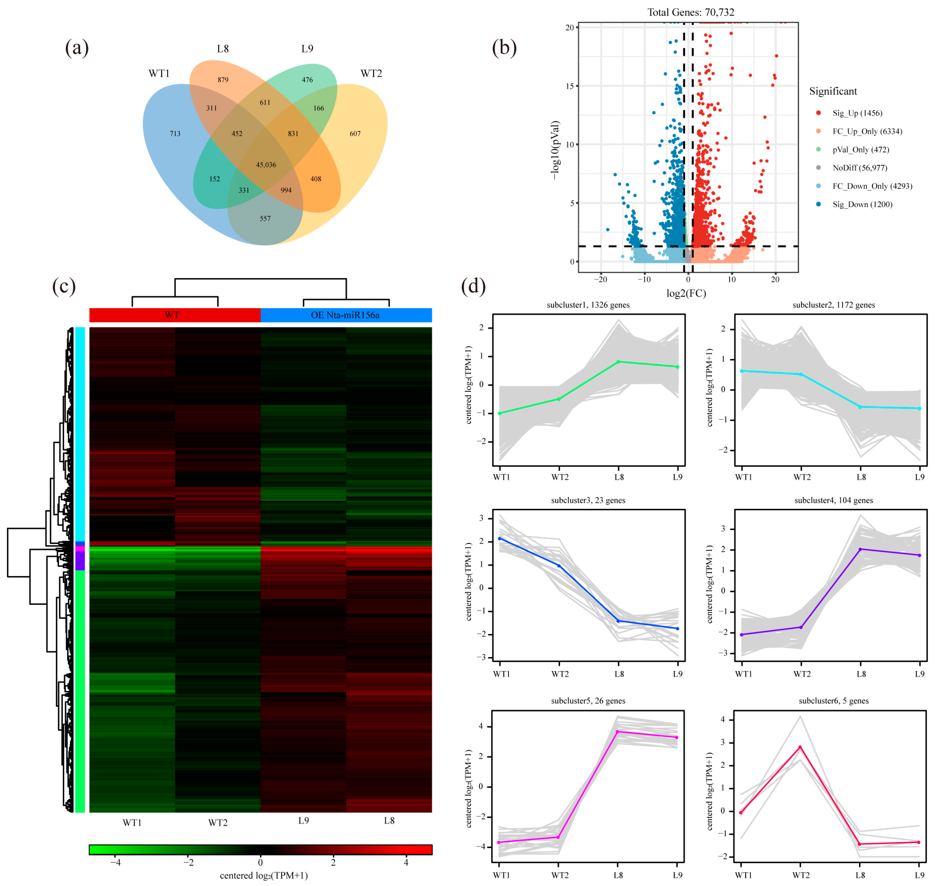 Plants 12 01739 g004 Plants 12 01739 g004