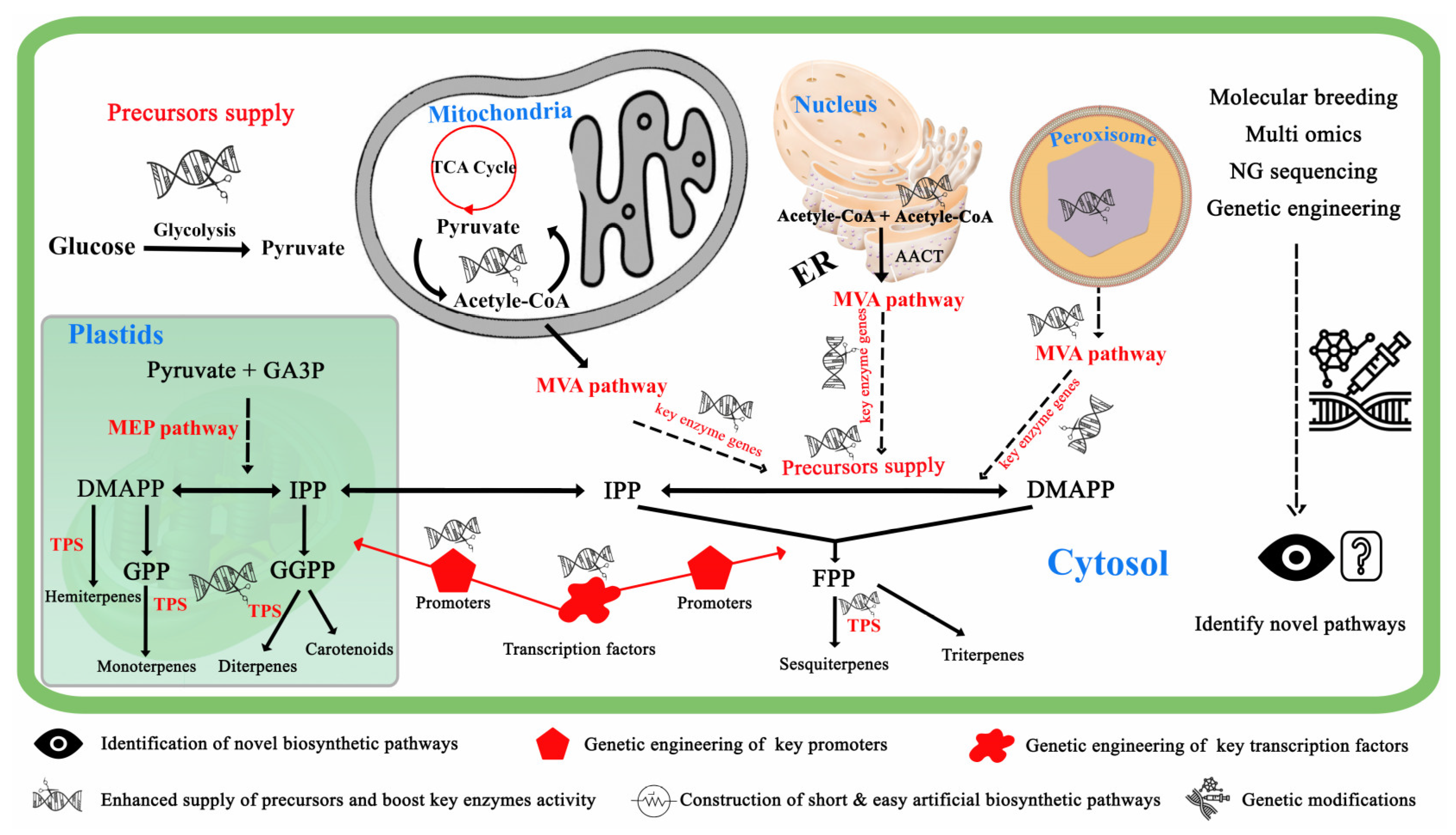 Plants 12 01748 g003