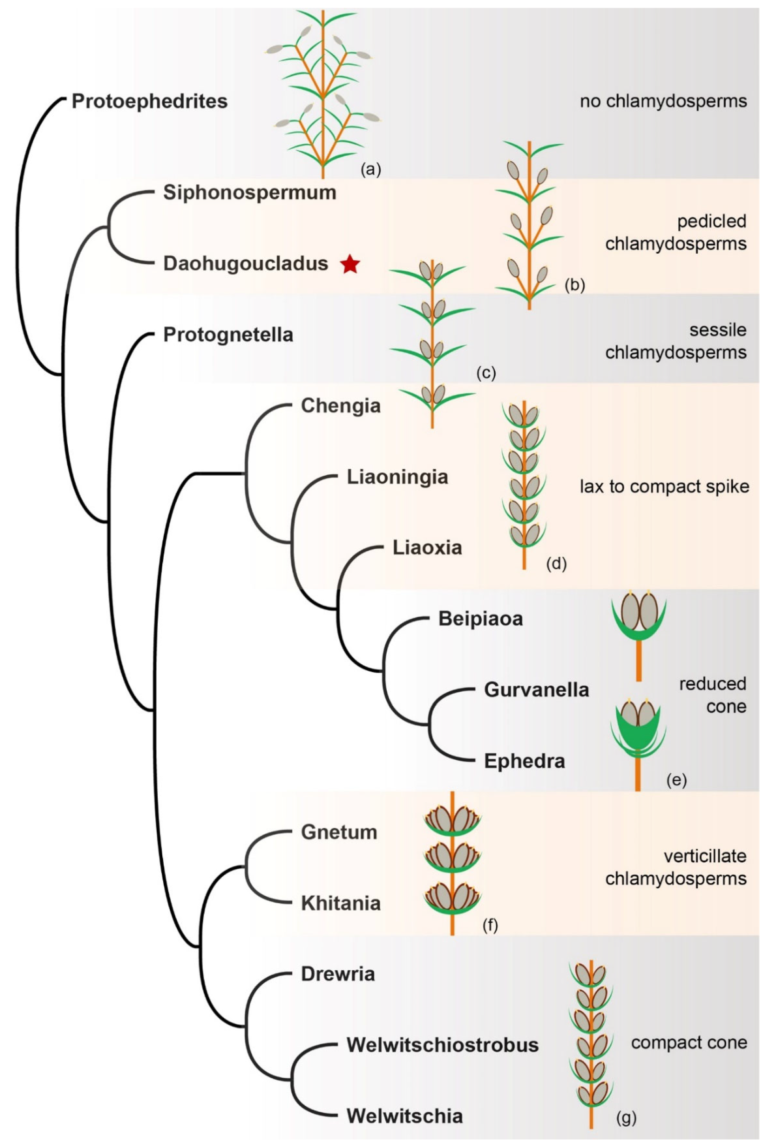 Plants 12 01749 g007 Plants 12 01749 g007