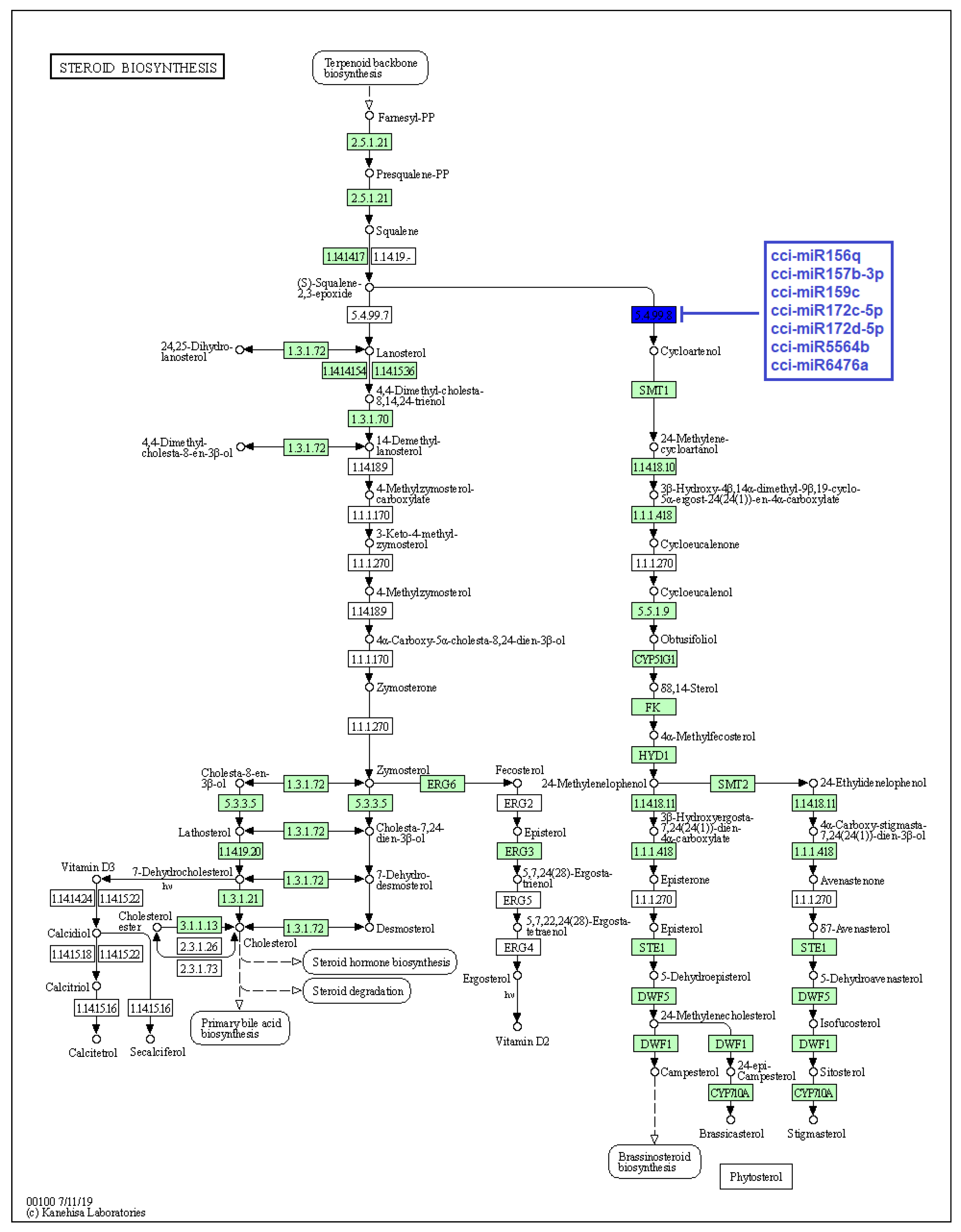 Plants 12 01756 g006