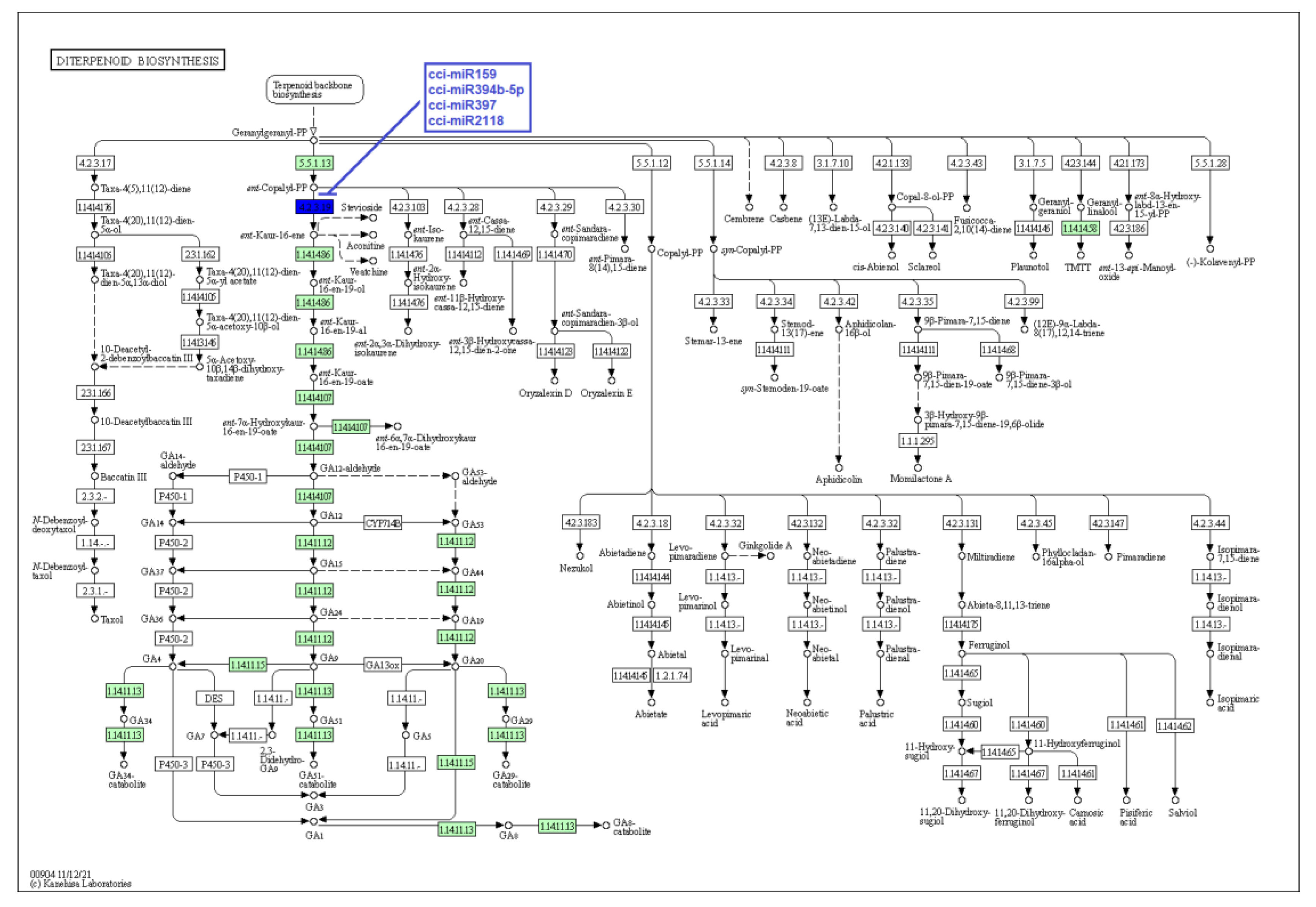 Plants 12 01756 g008