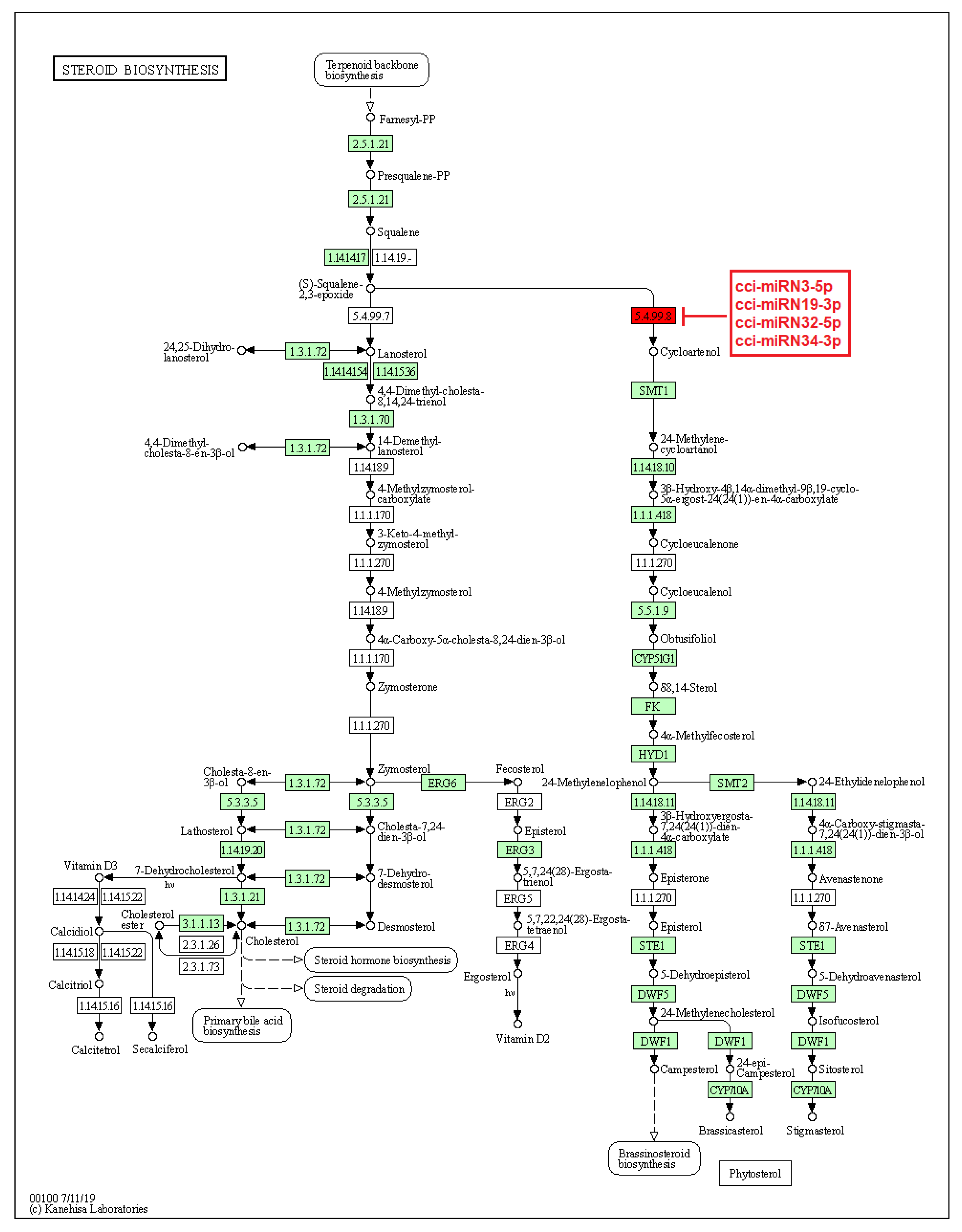 Plants 12 01756 g009