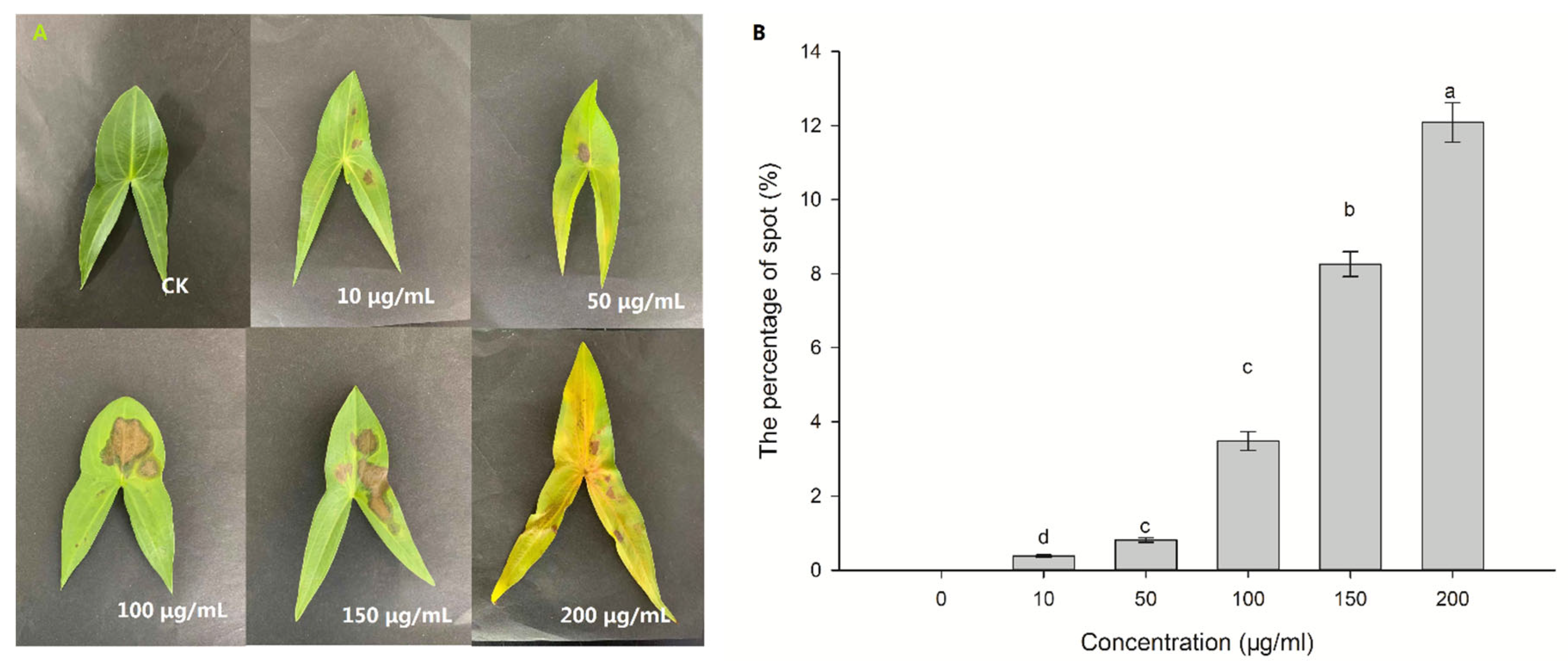 Plants 12 01758 g002 Plants 12 01758 g002