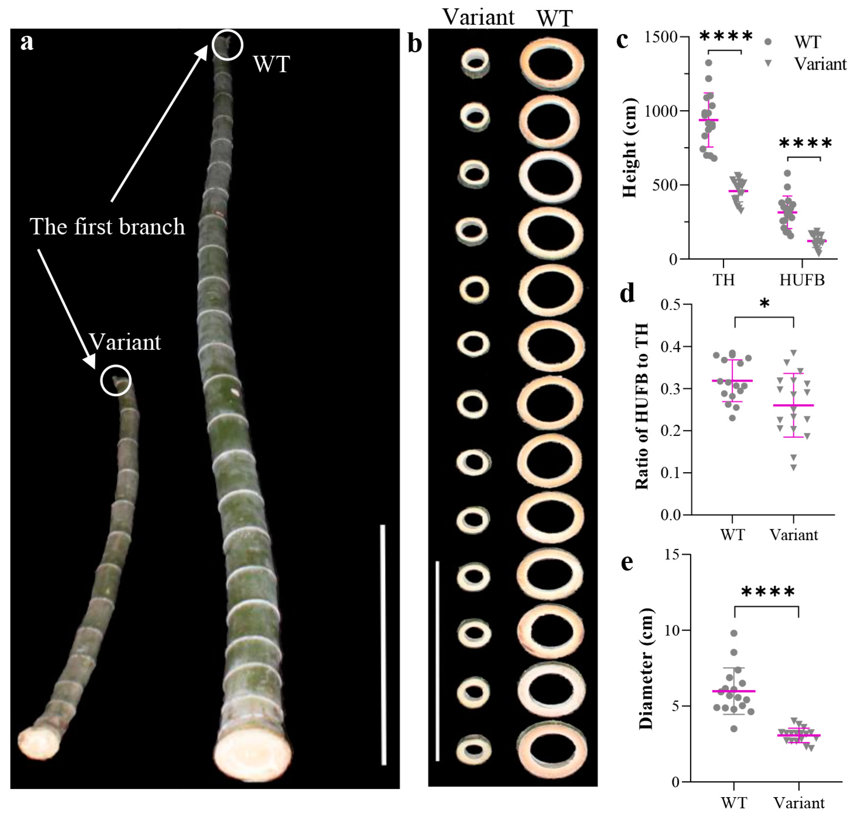 Plants 12 01759 g001