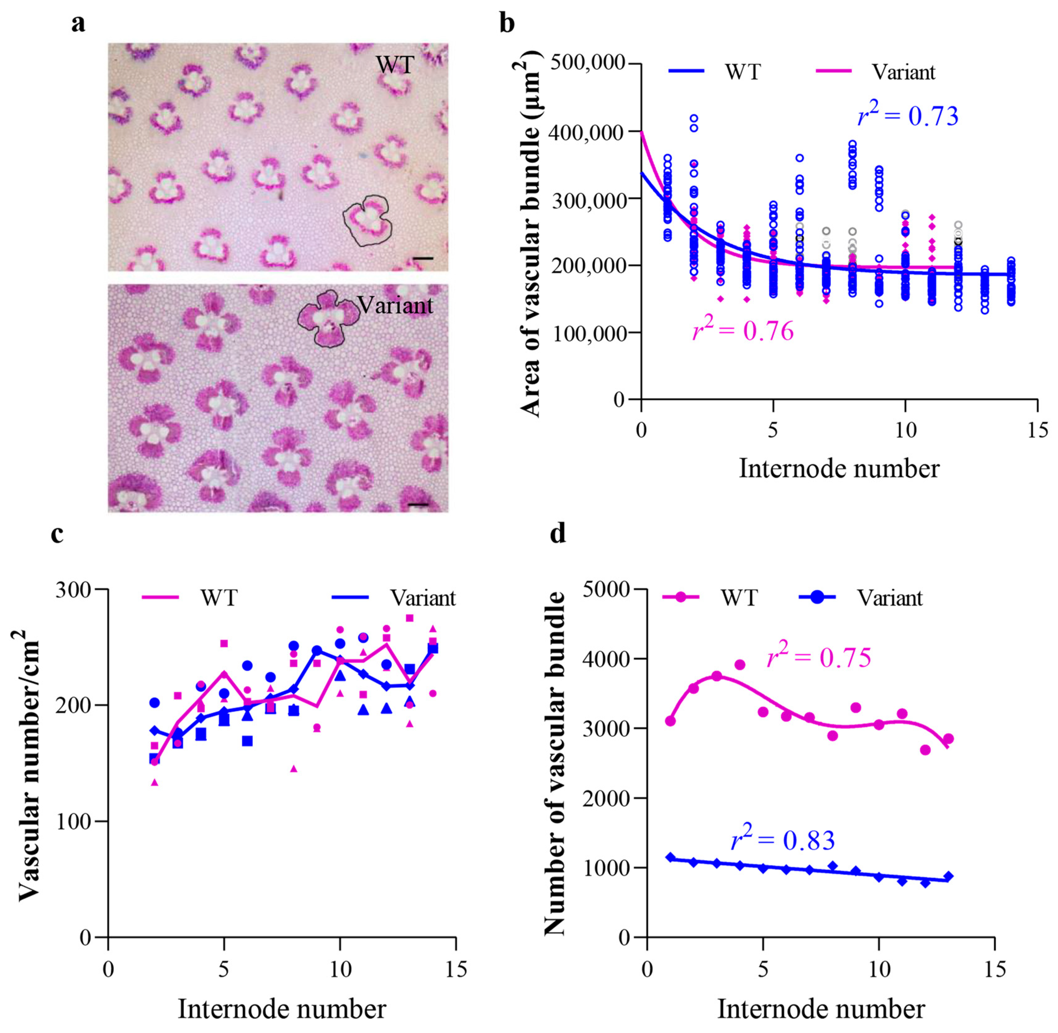 Plants 12 01759 g004