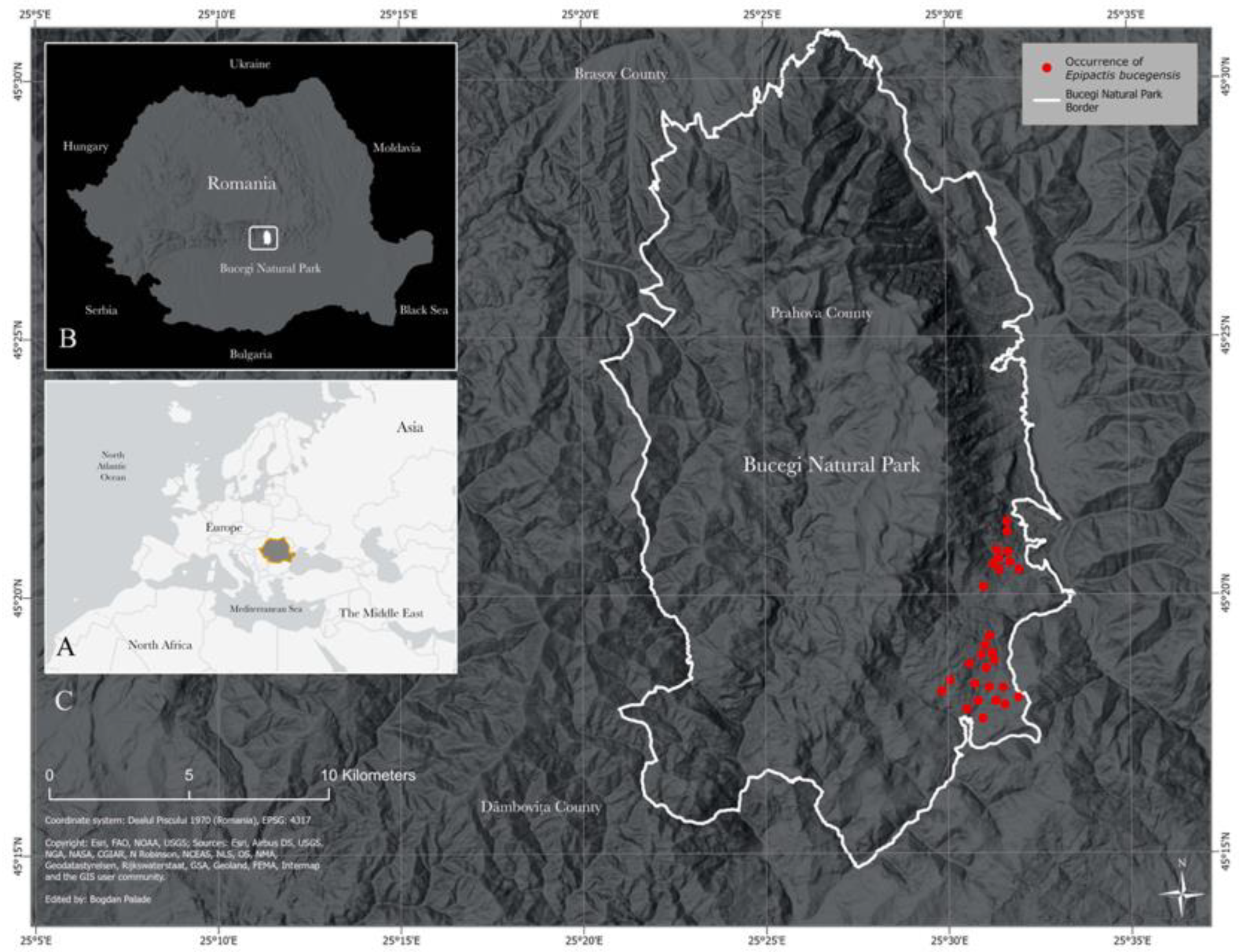Plants 12 01761 g001