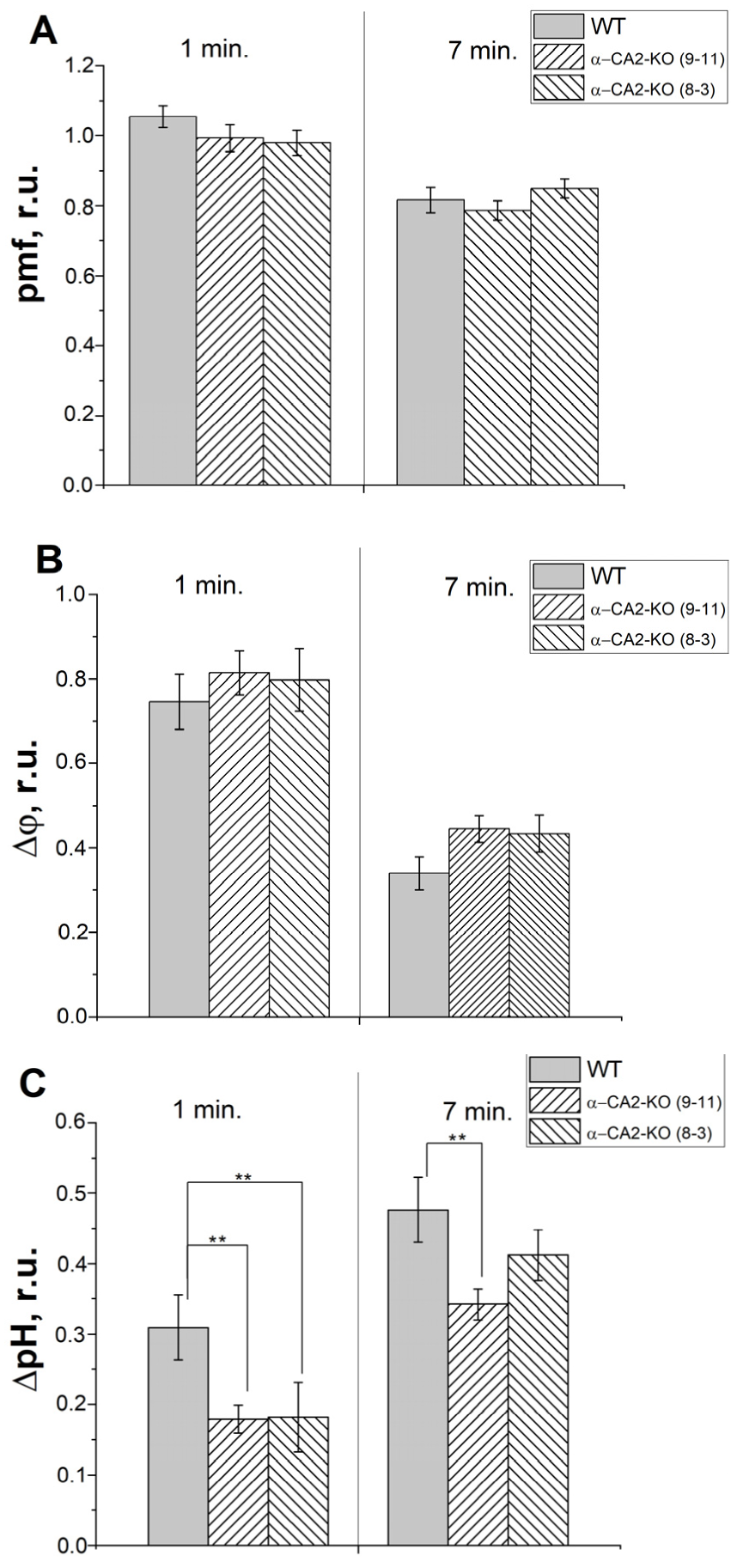 Plants 12 01763 g007 Plants 12 01763 g007