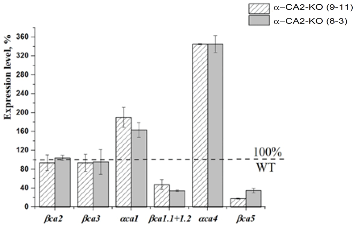 Plants 12 01763 g008 Plants 12 01763 g008