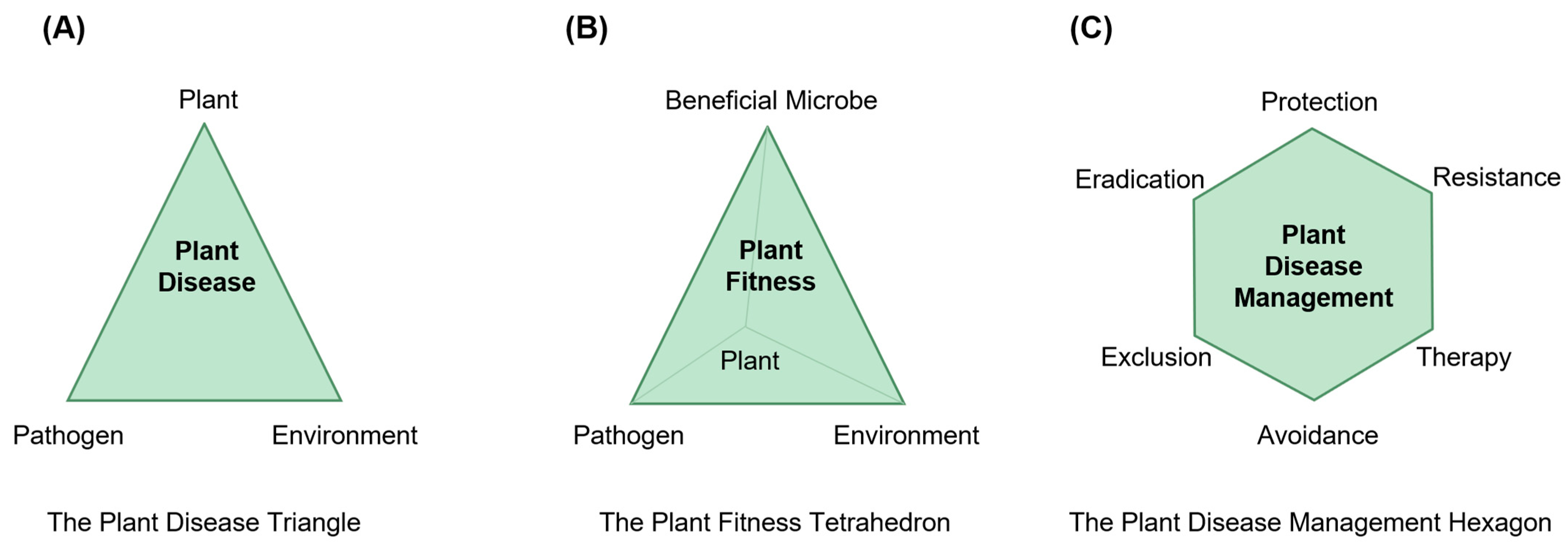 Plants 12 01765 g005