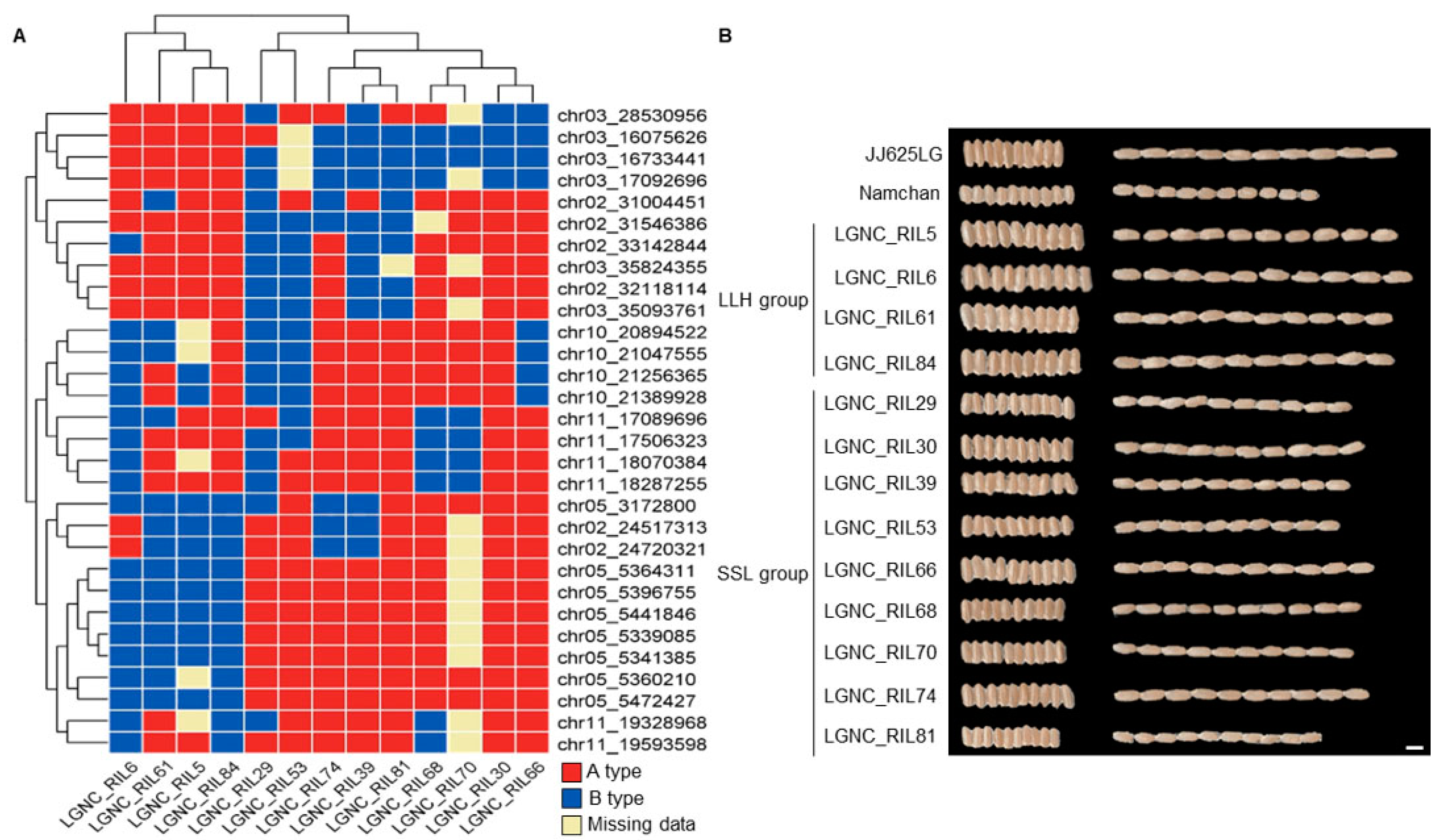 Plants 12 01766 g004