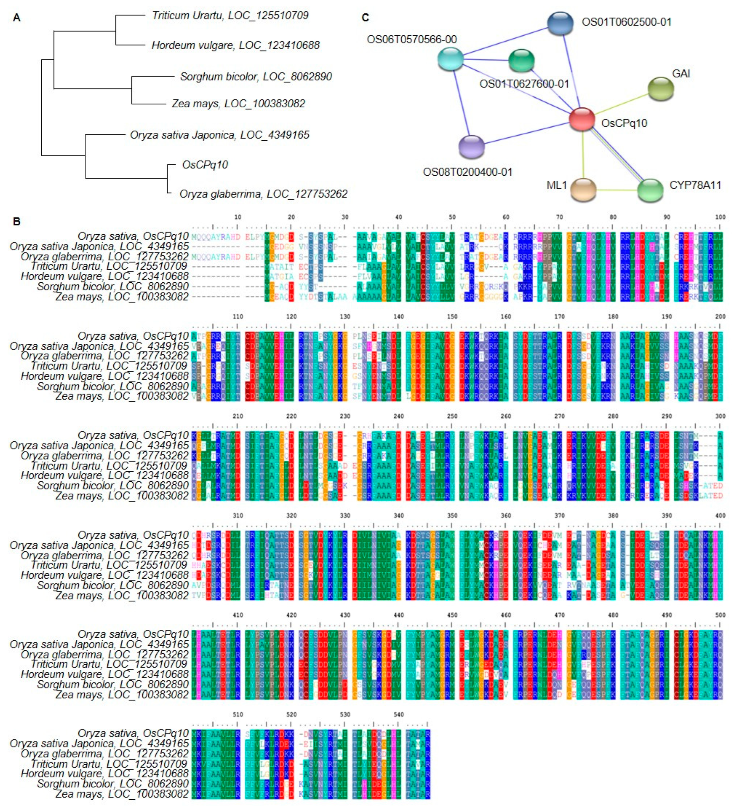 Plants 12 01766 g006