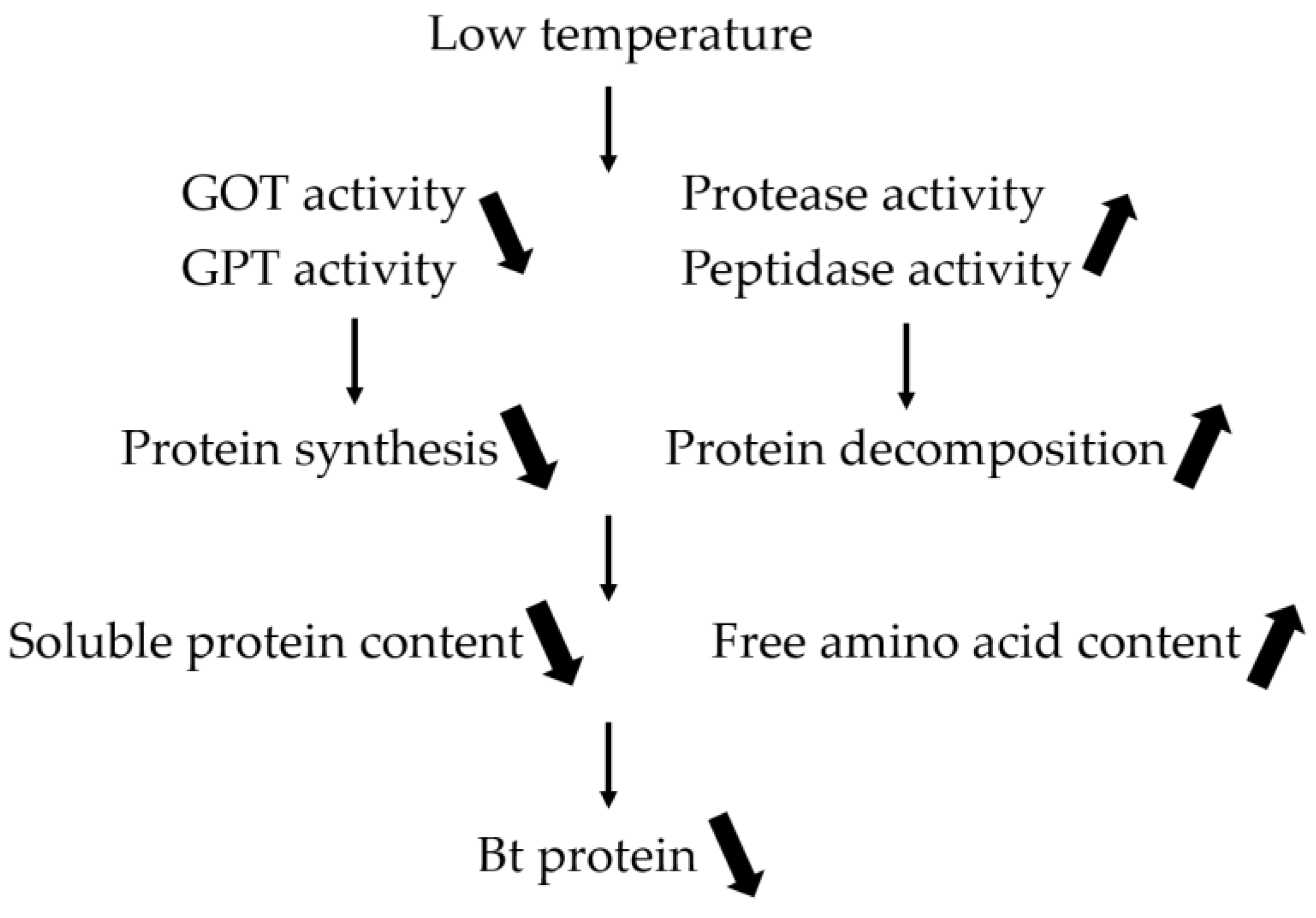 Plants 12 01767 g008