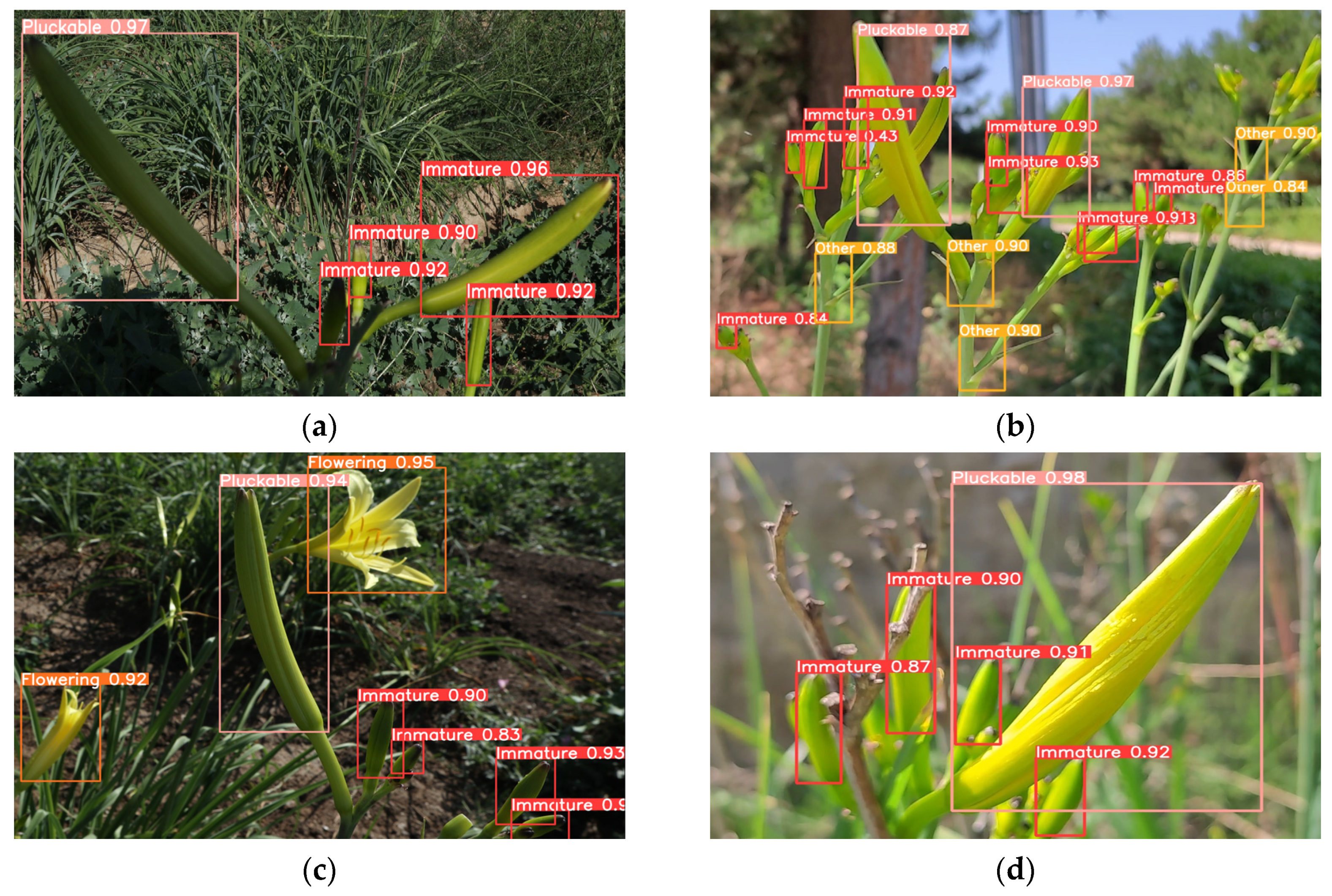 Plants 12 01769 g013 Plants 12 01769 g013