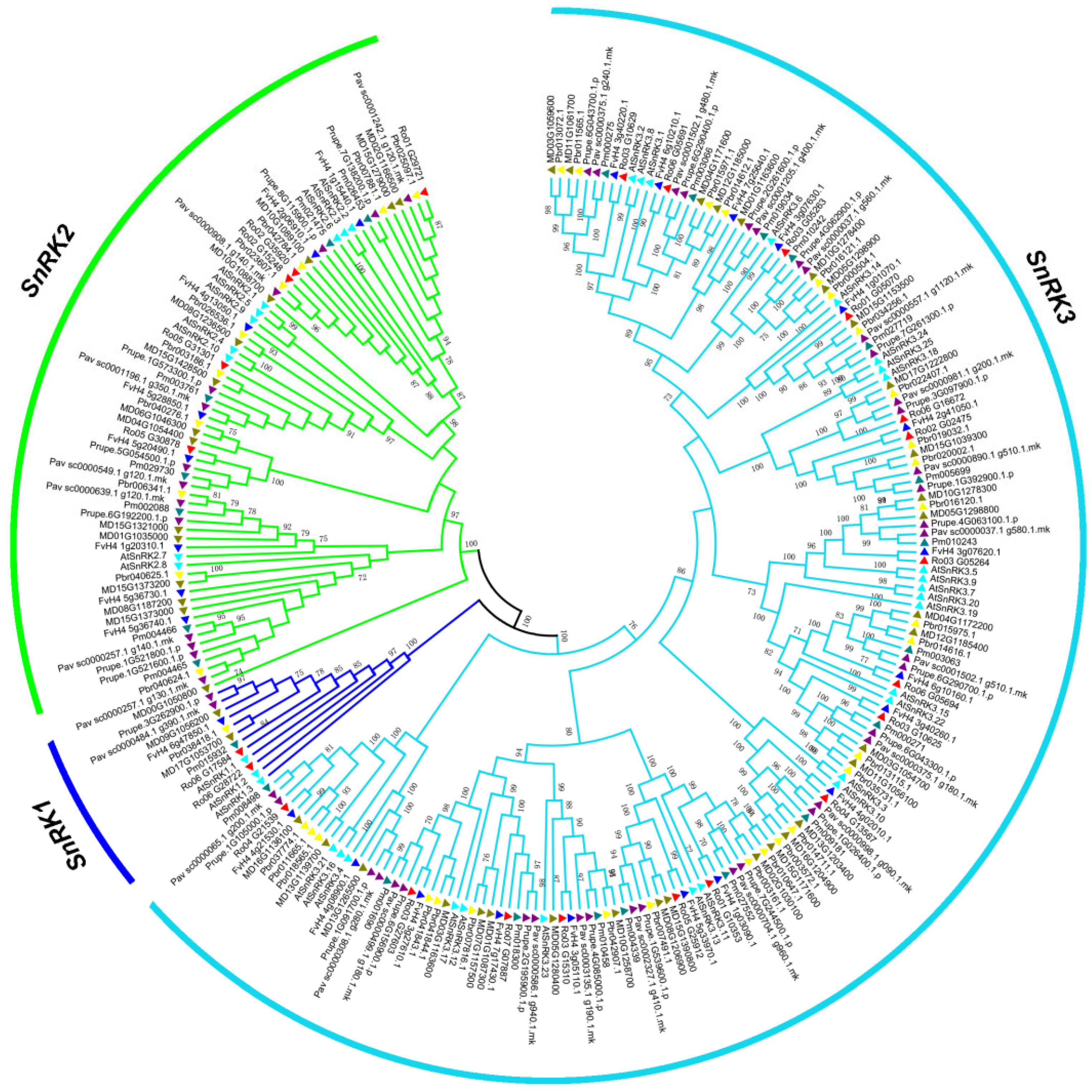 Plants 12 01784 g001 Plants 12 01784 g001