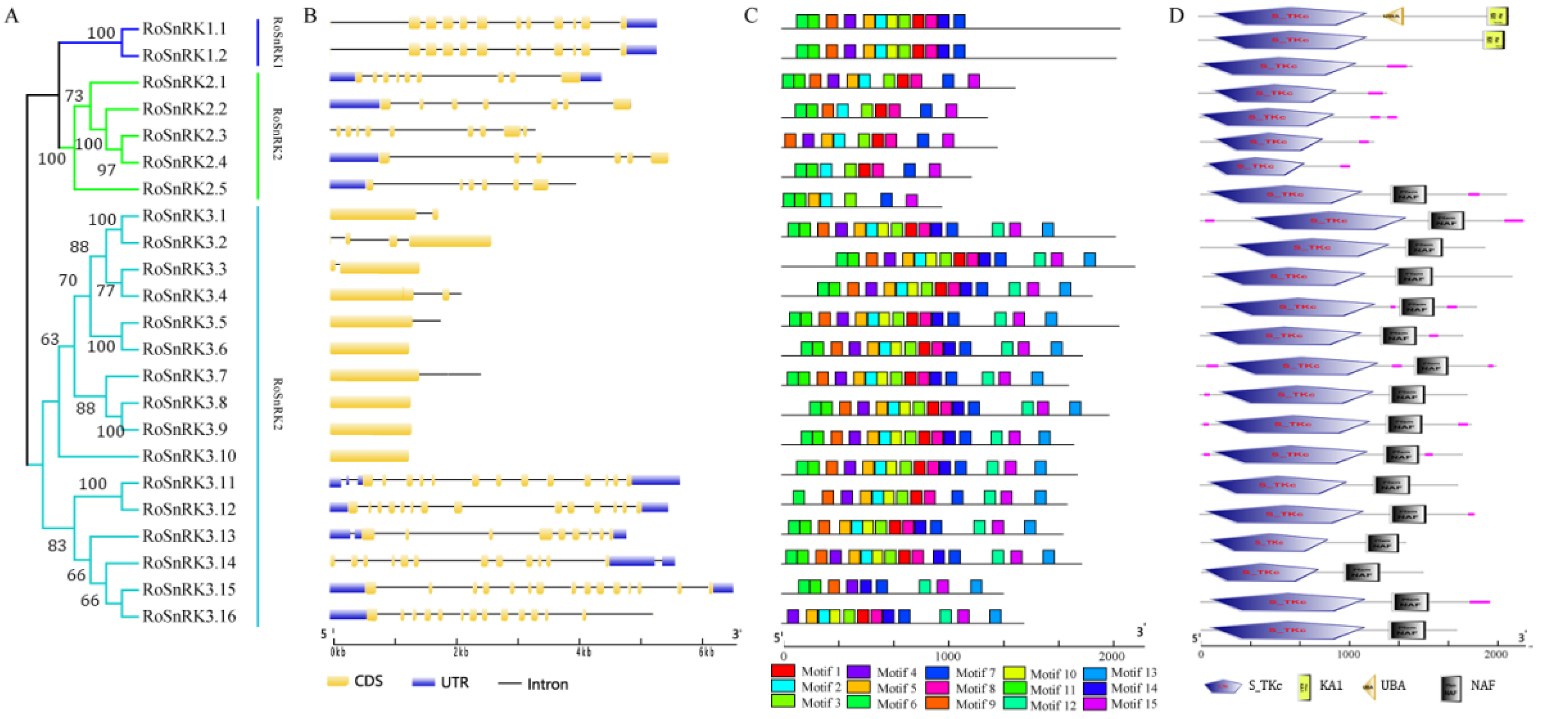 Plants 12 01784 g005 Plants 12 01784 g005