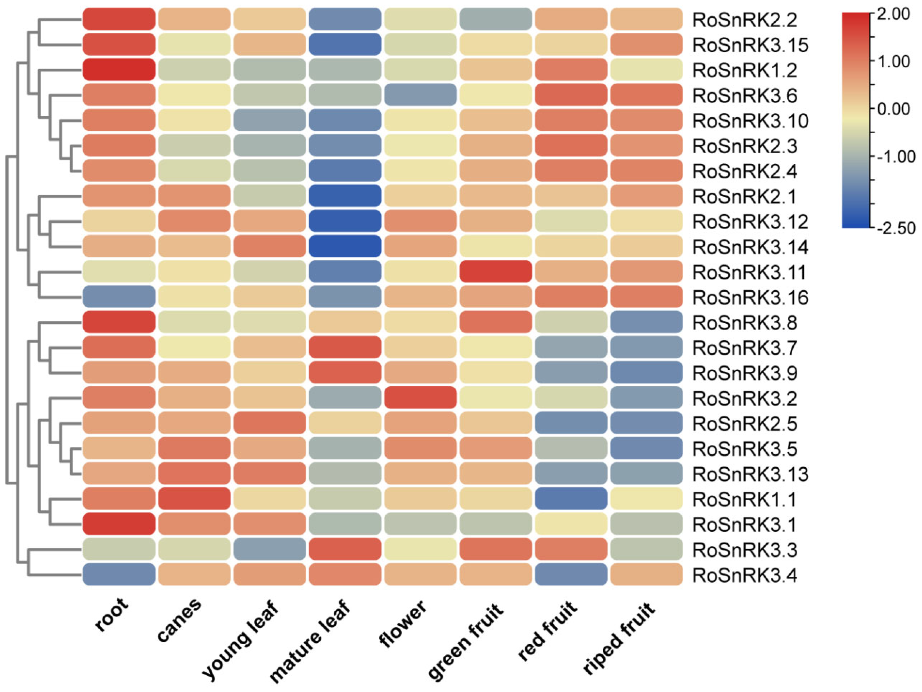 Plants 12 01784 g006 Plants 12 01784 g006