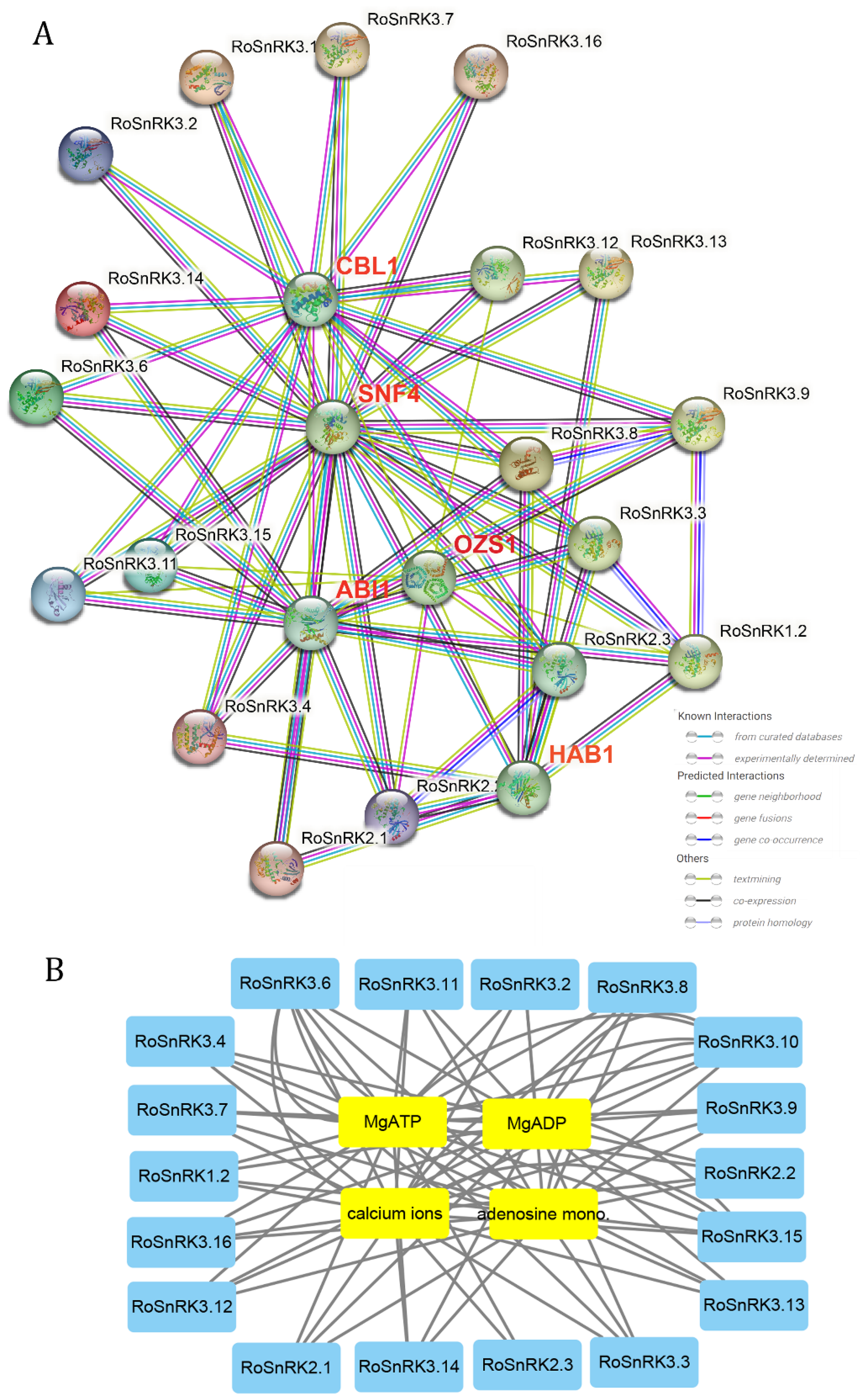 Plants 12 01784 g009 Plants 12 01784 g009