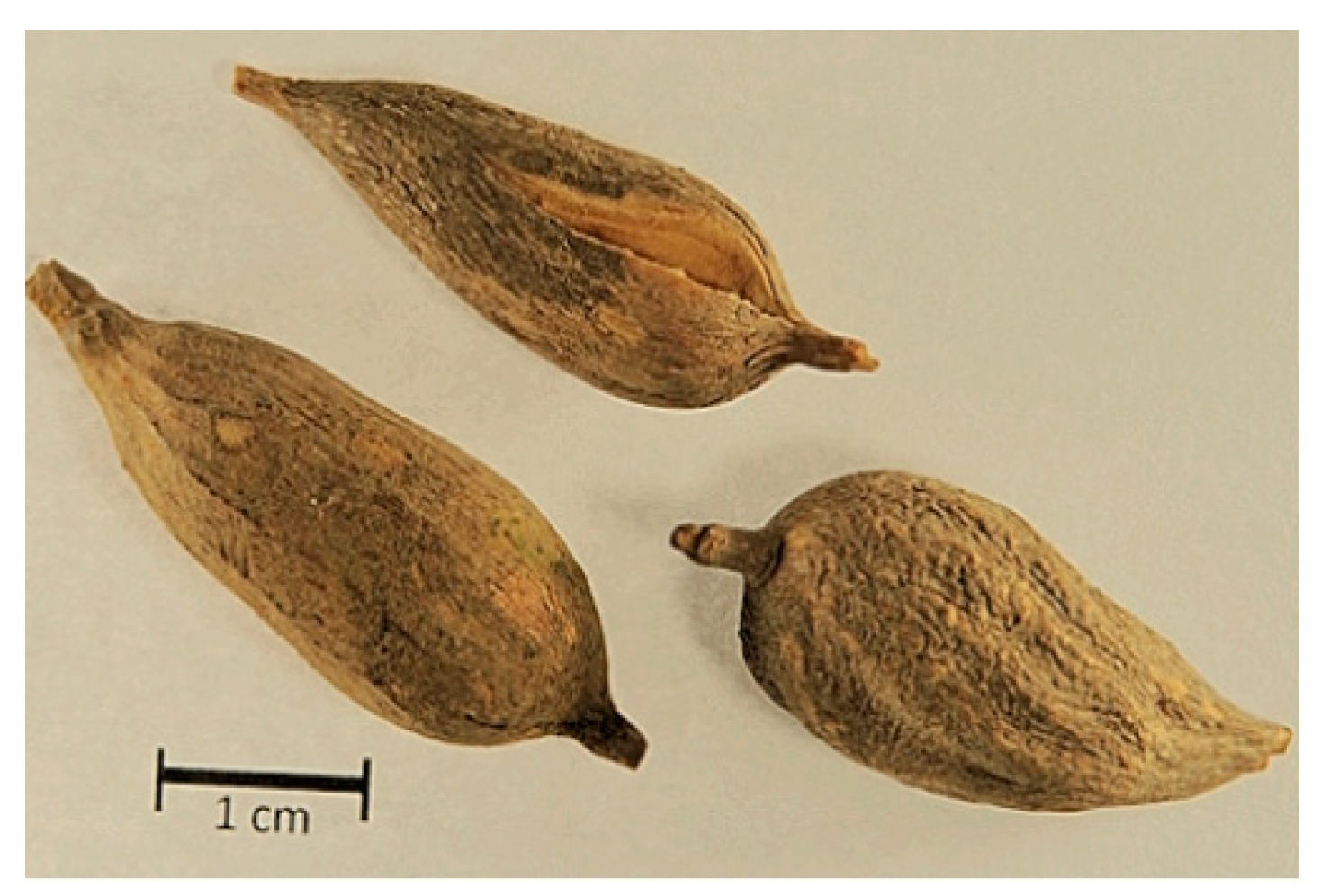 Plants 12 01788 g002 Plants 12 01788 g002