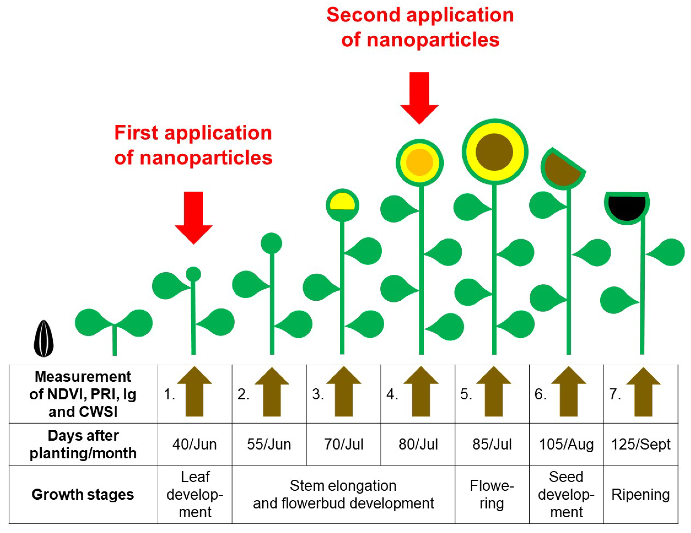 Plants 12 01789 g002