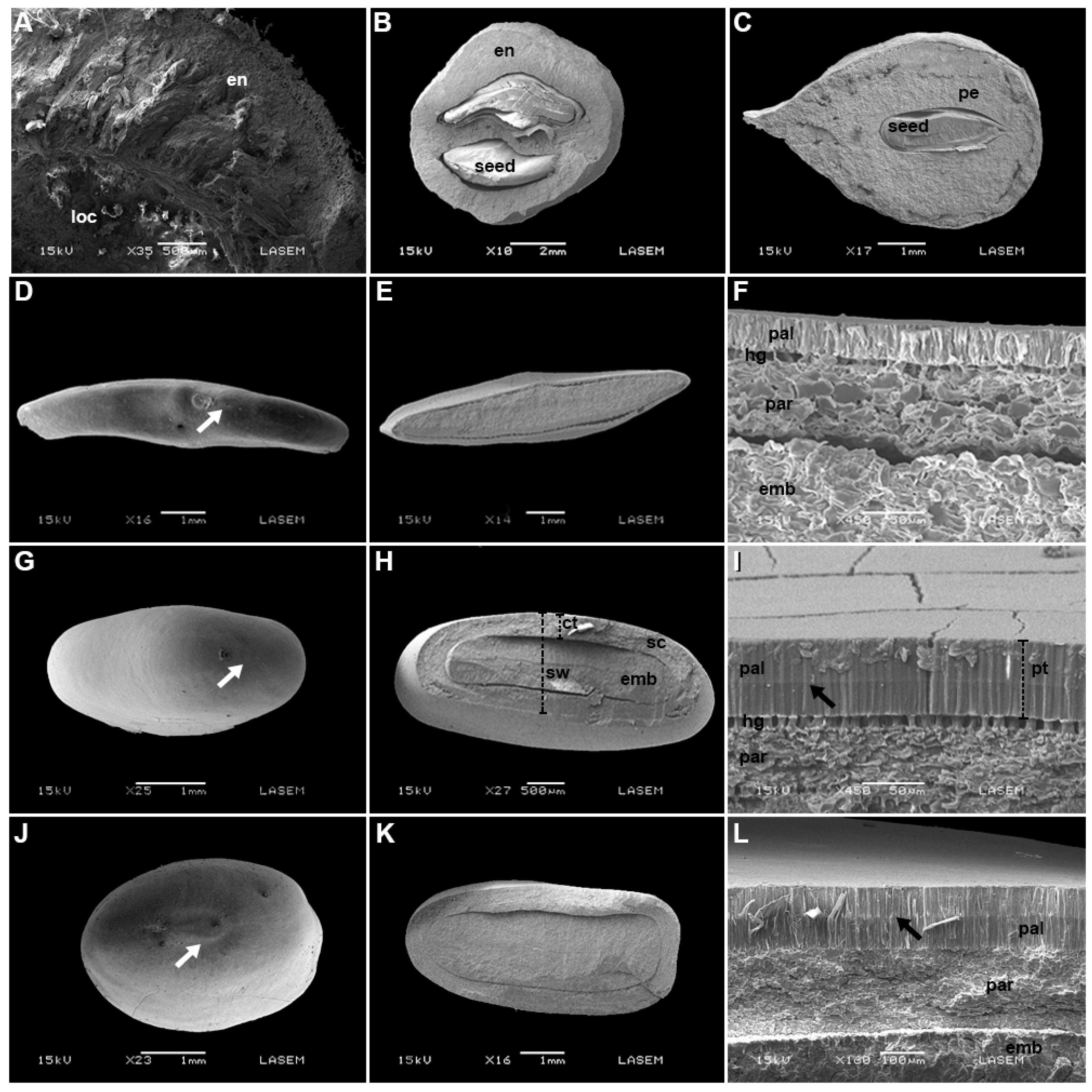 Plants 12 01790 g002
