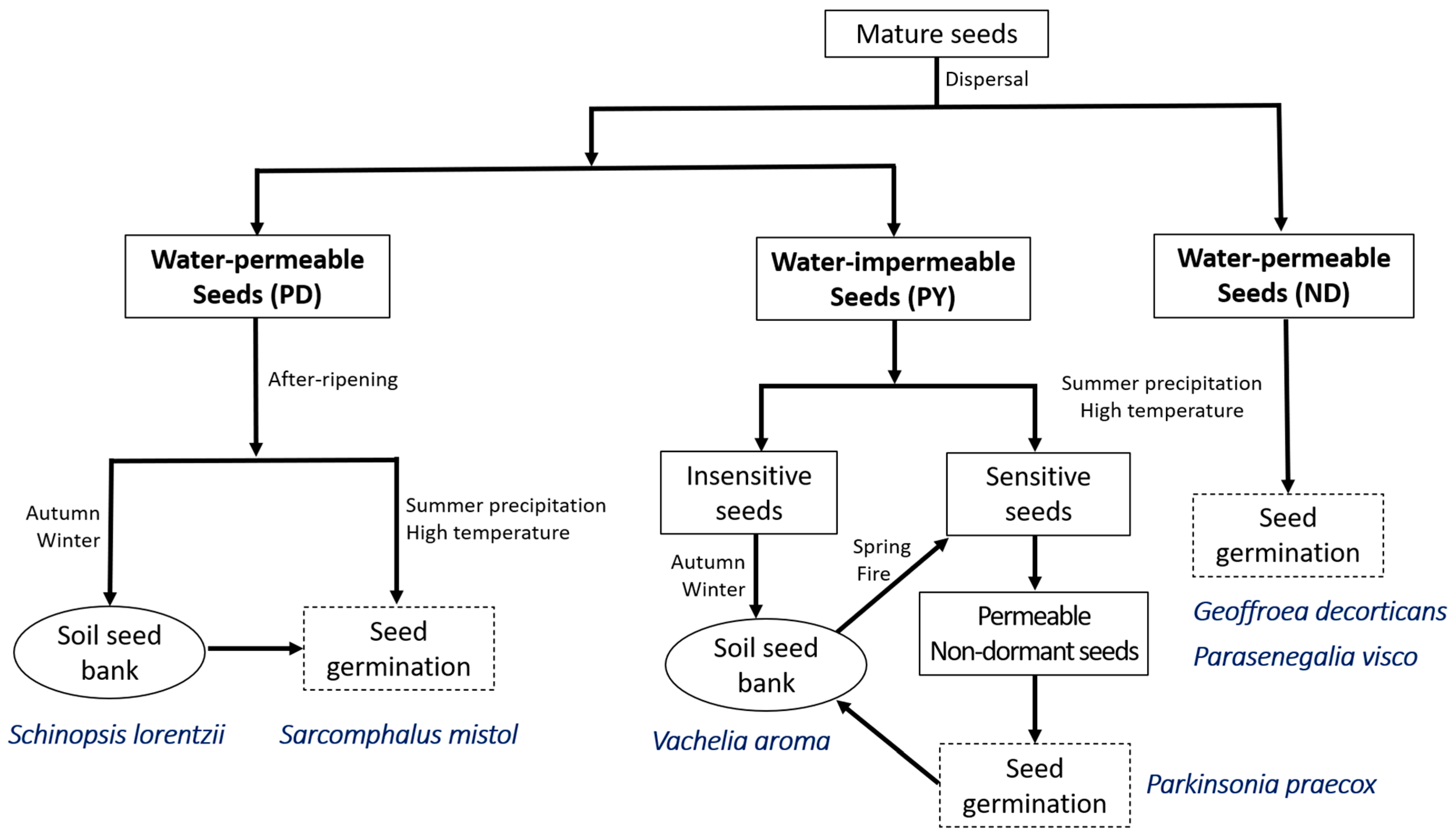 Plants 12 01790 g007