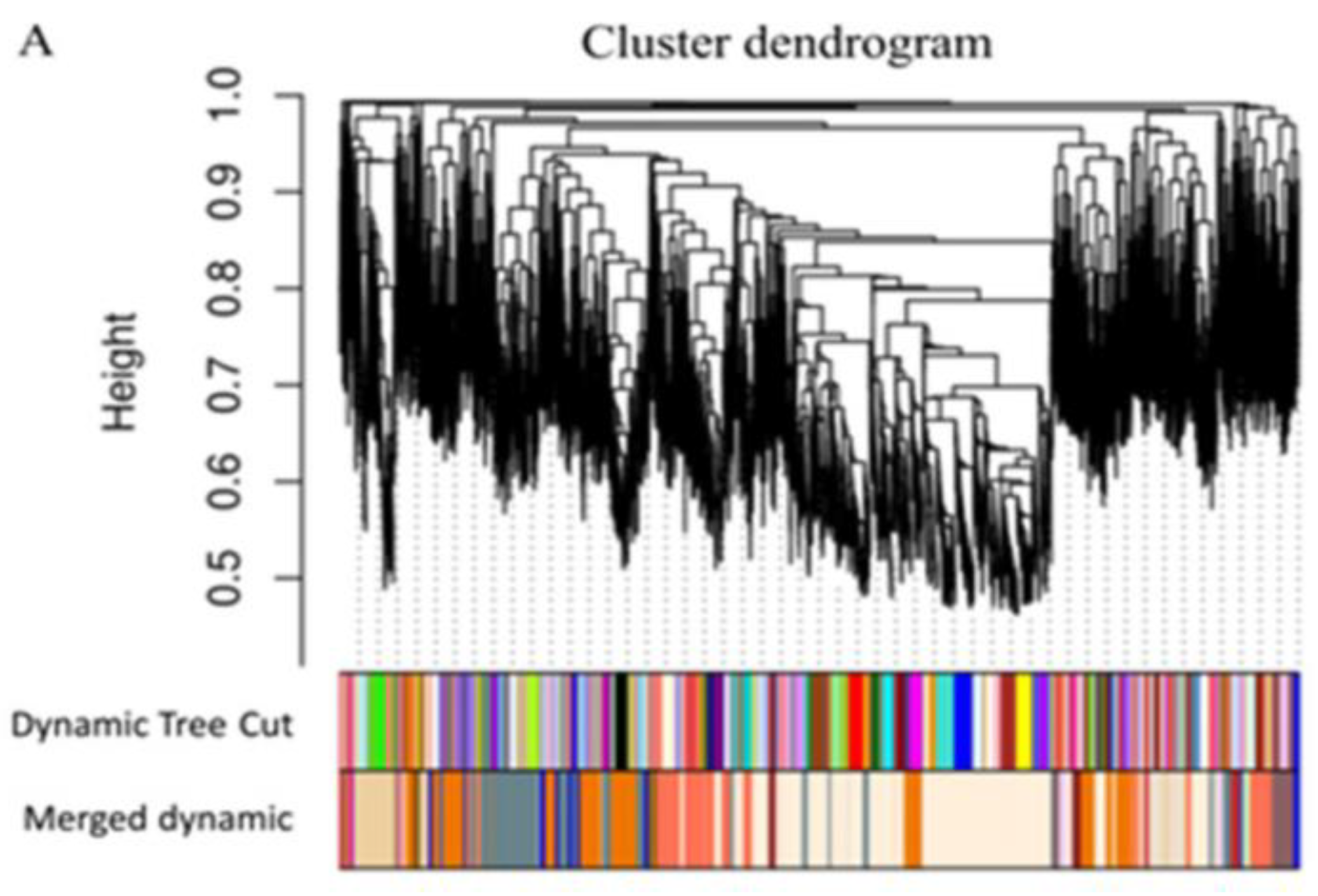 Plants 12 01793 g003a