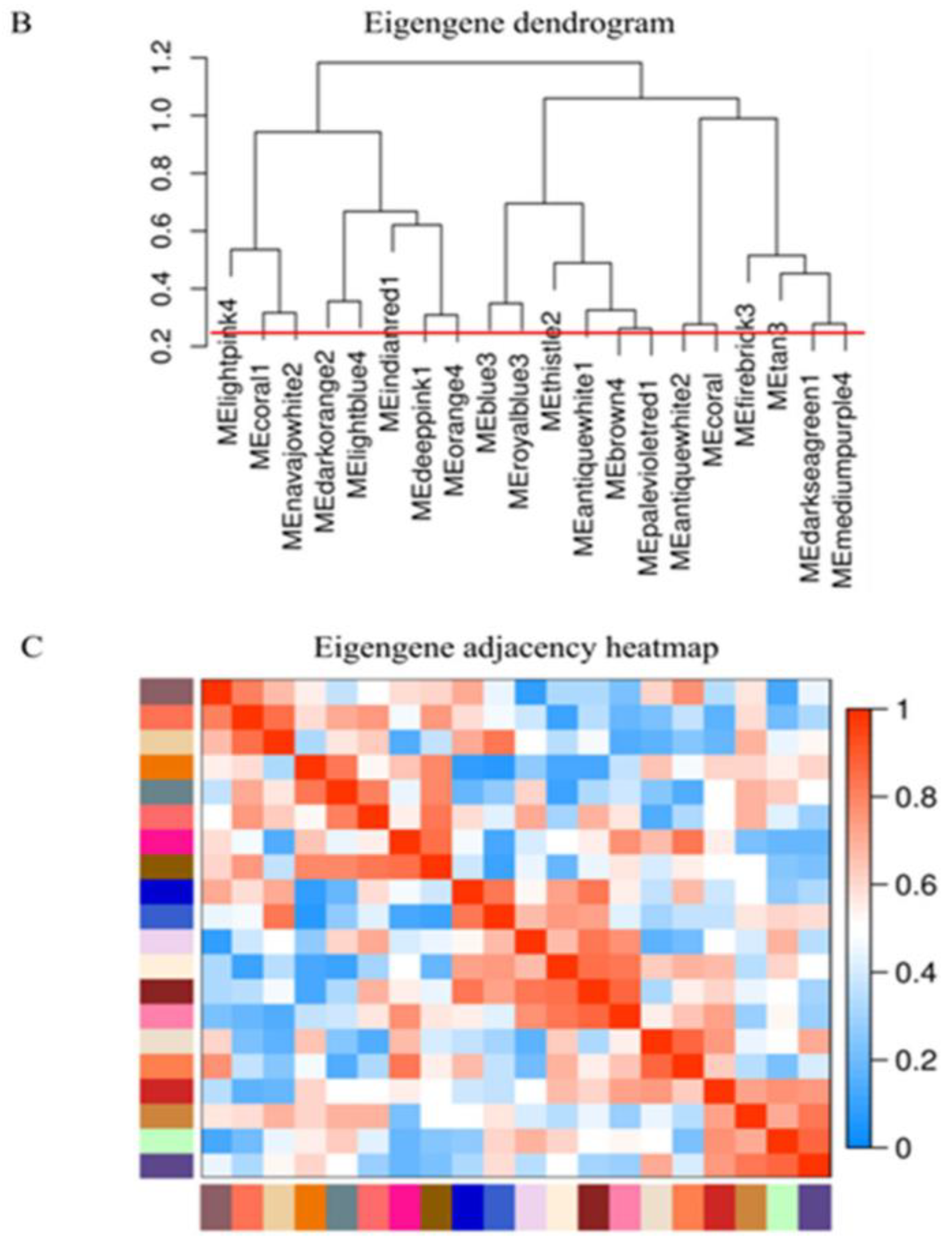Plants 12 01793 g003b