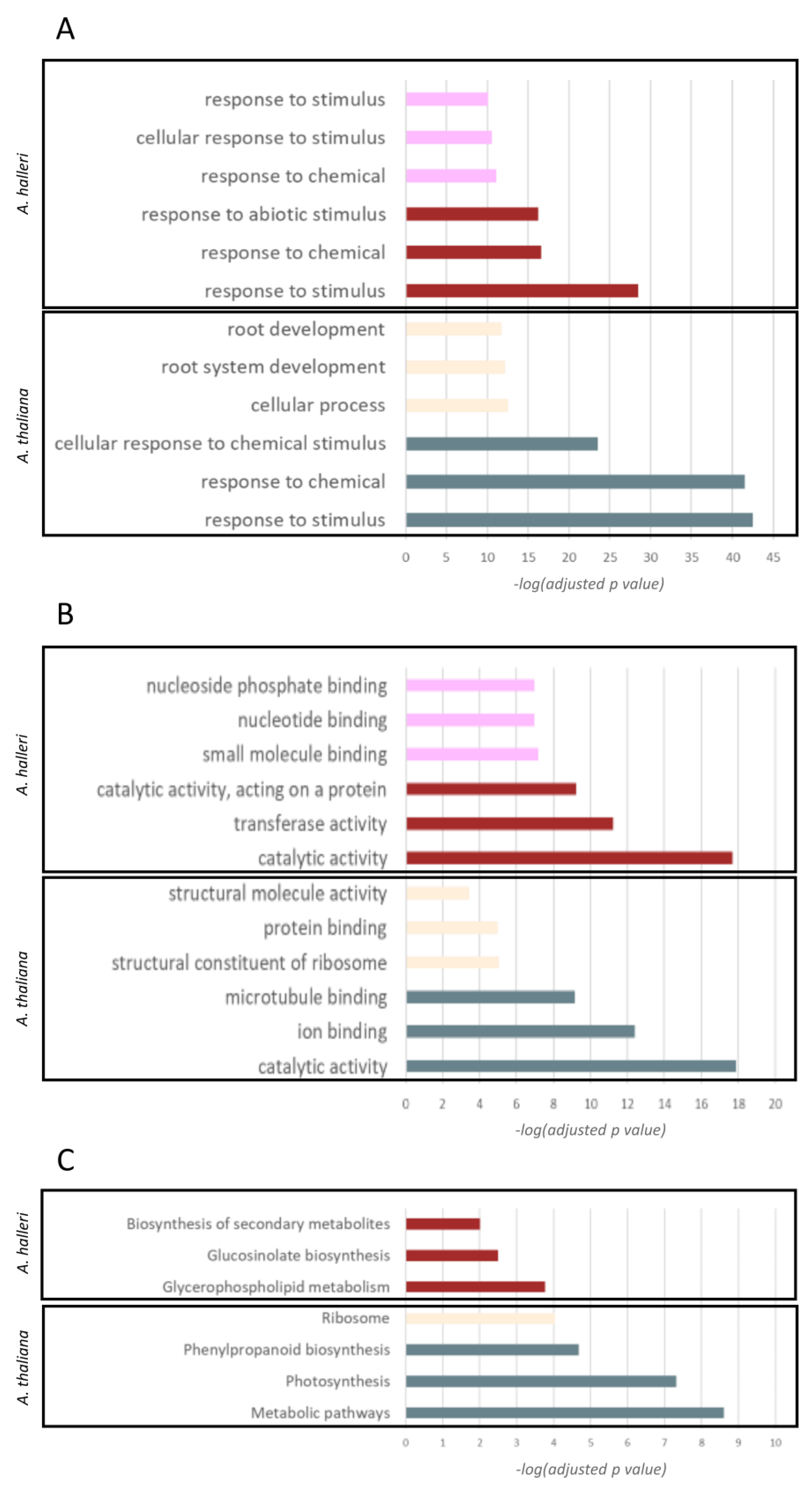 Plants 12 01793 g005