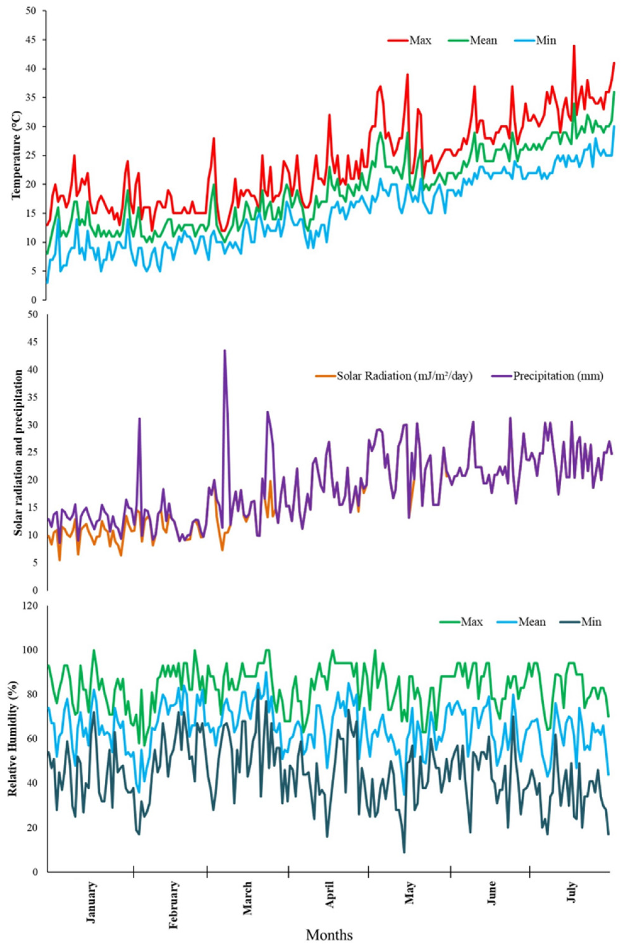 Plants 12 01805 g001