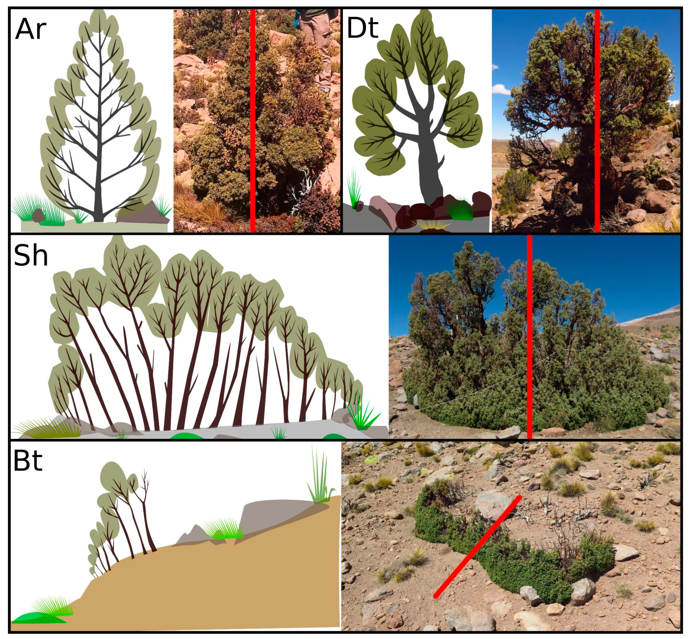 Plants 12 01806 g001 Plants 12 01806 g001