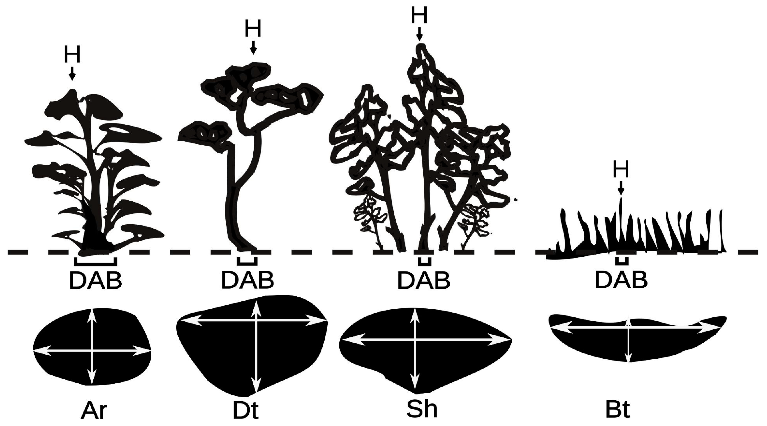 Plants 12 01806 g005 Plants 12 01806 g005