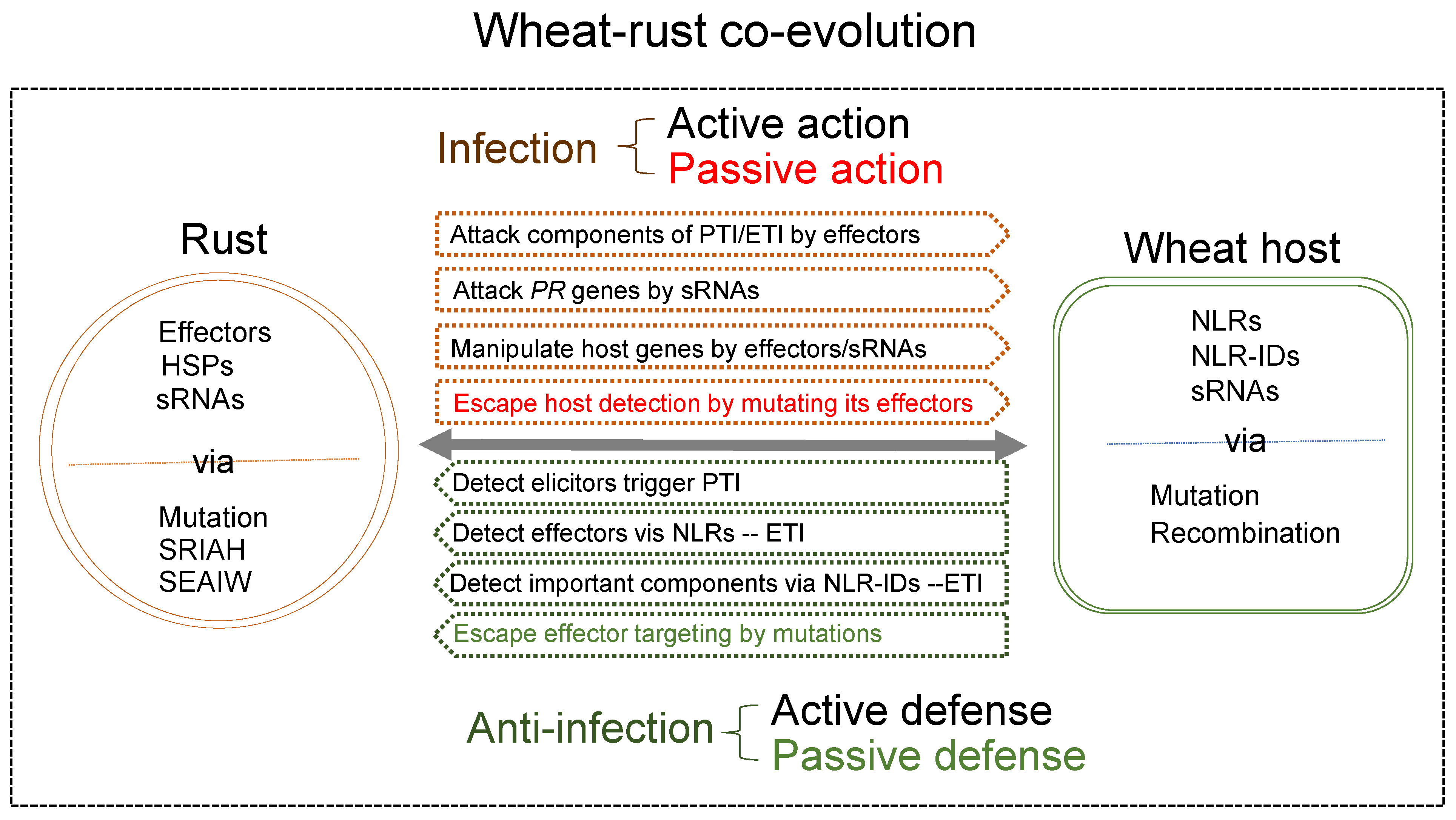 Plants 12 01809 g002 Plants 12 01809 g002