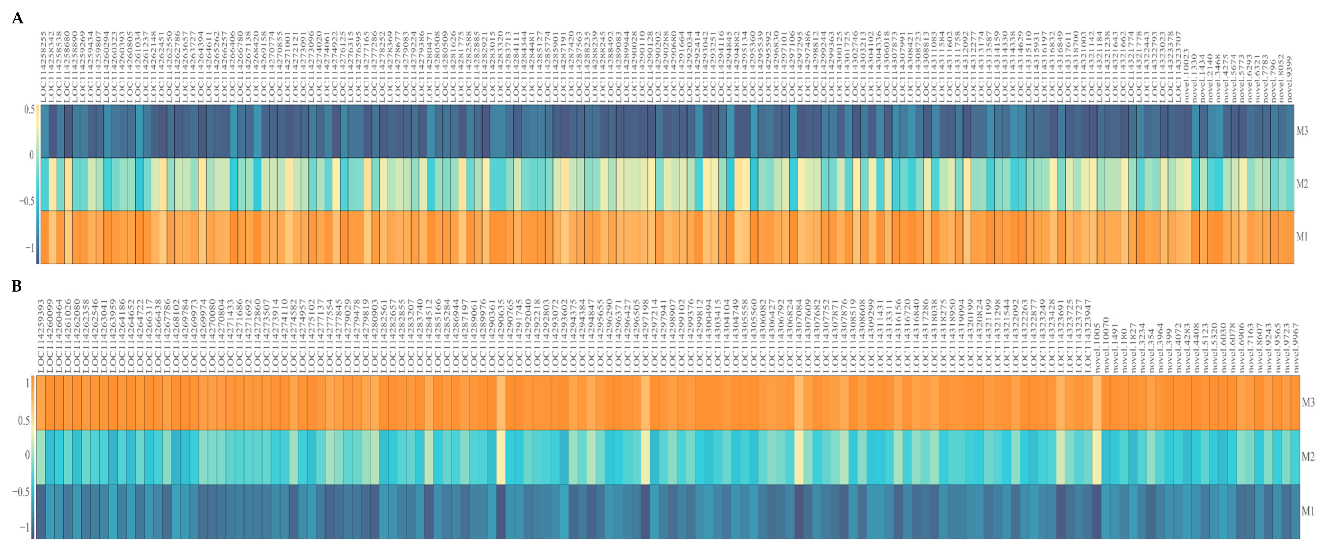 Plants 12 01810 g003 Plants 12 01810 g003