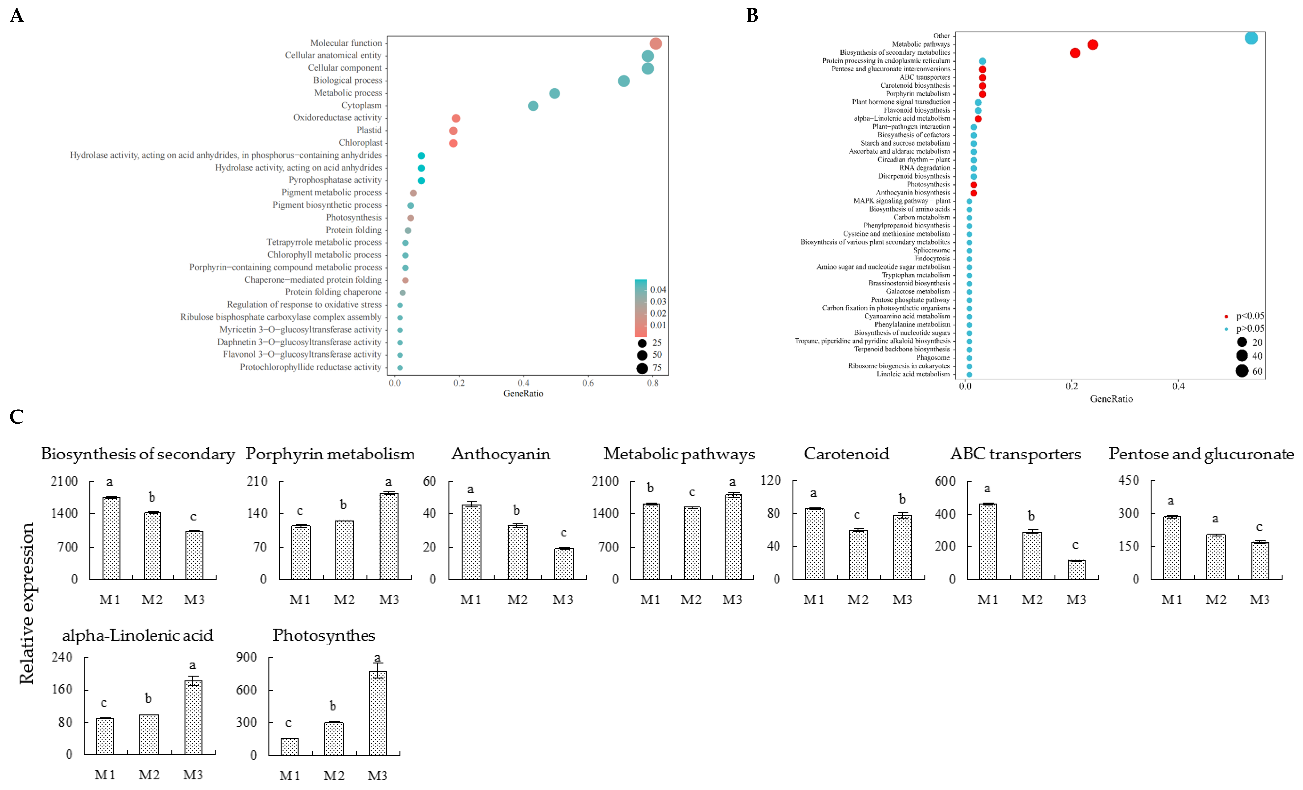Plants 12 01810 g005 Plants 12 01810 g005