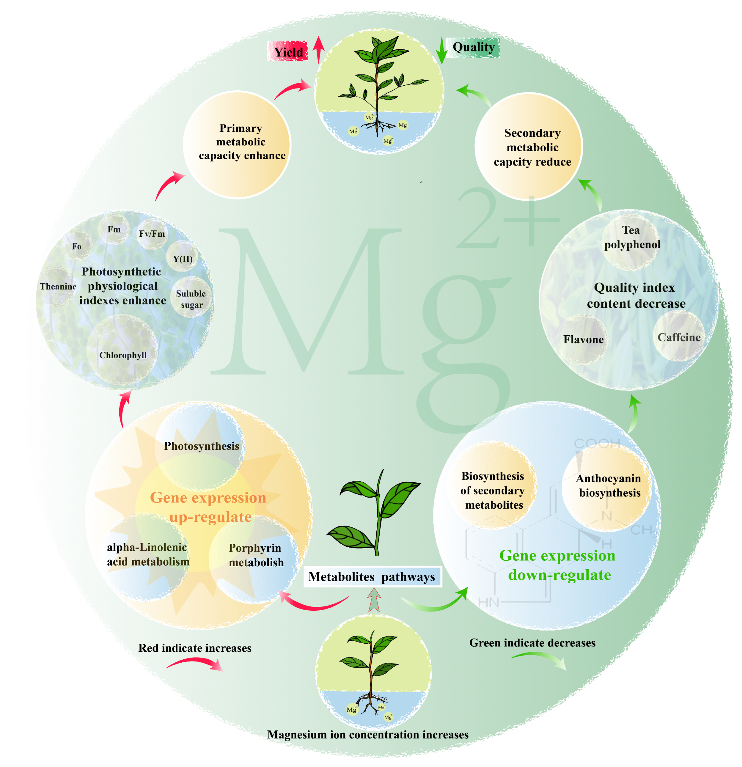 Plants 12 01810 g008 Plants 12 01810 g008