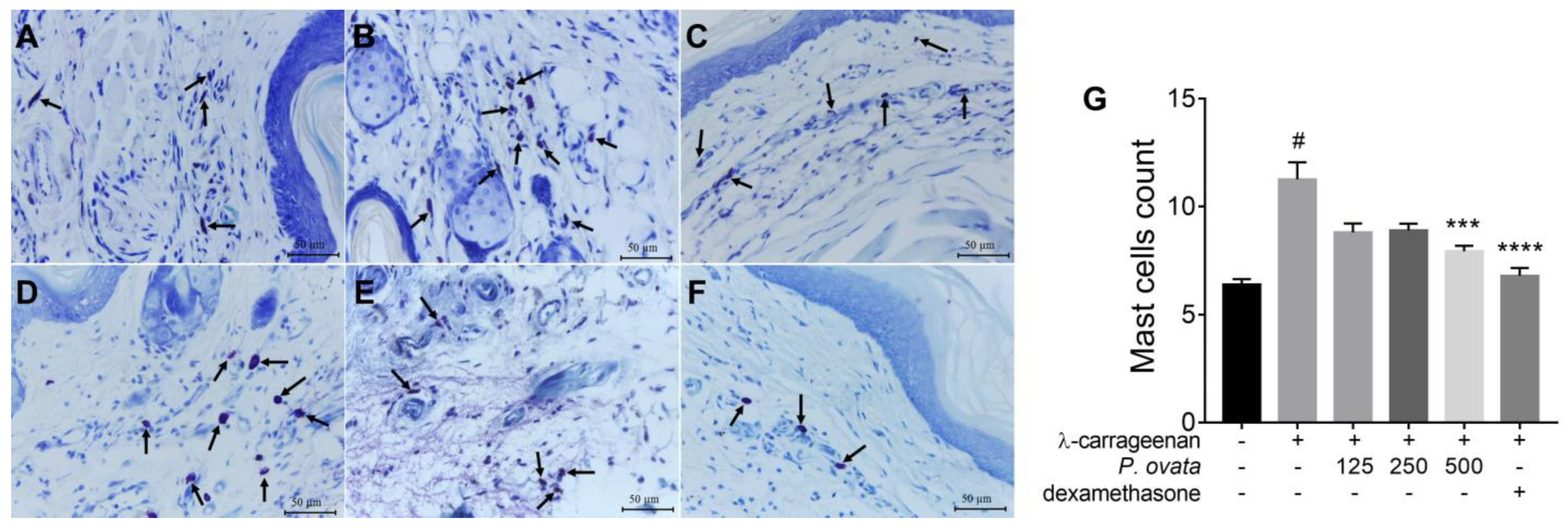 Plants 12 01814 g006