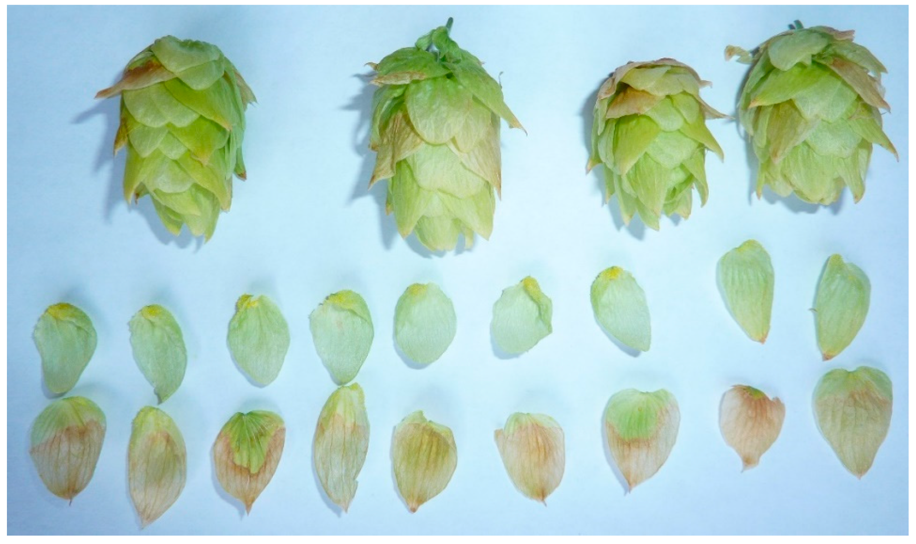 Plants 12 01816 g004