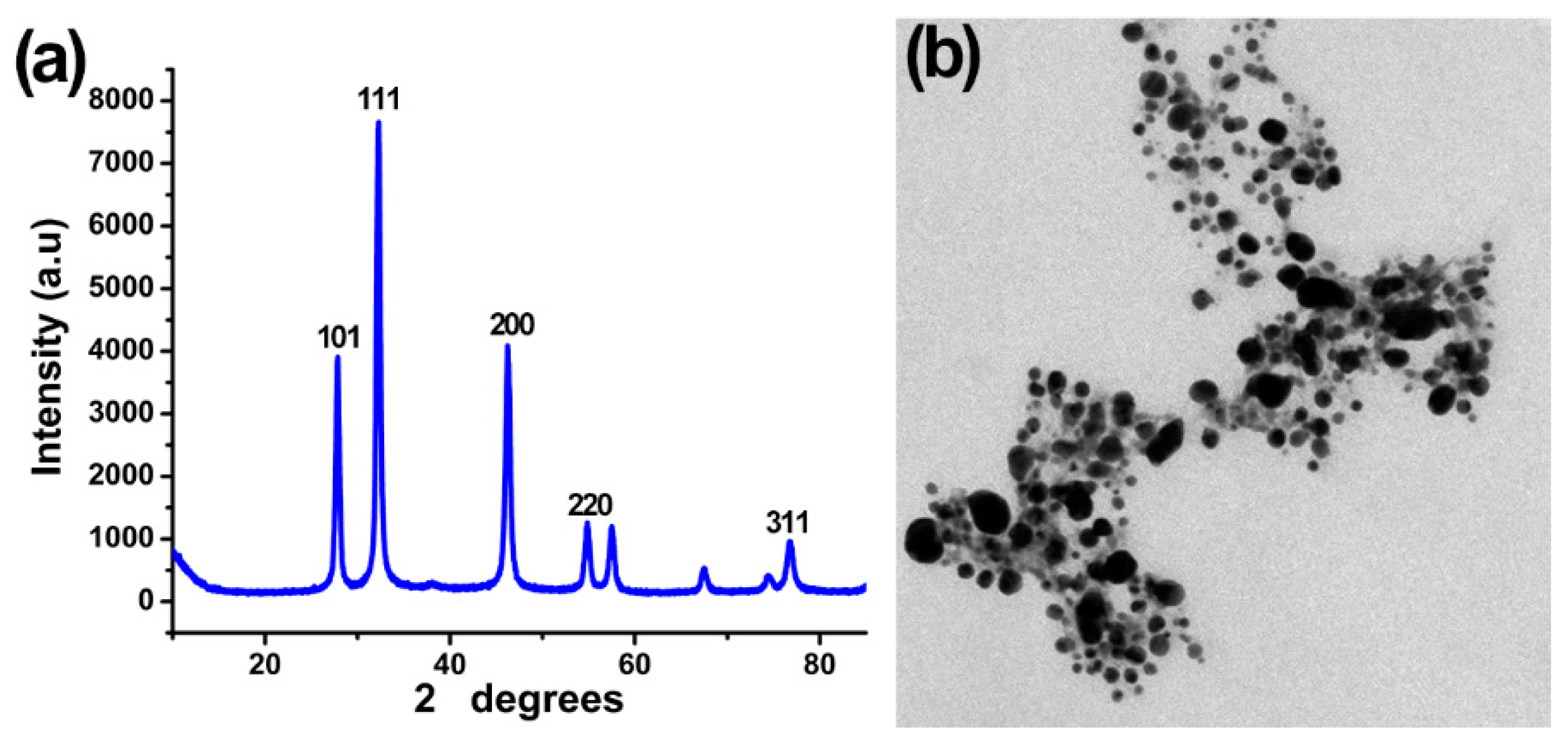 Plants 12 01817 g002 Plants 12 01817 g002