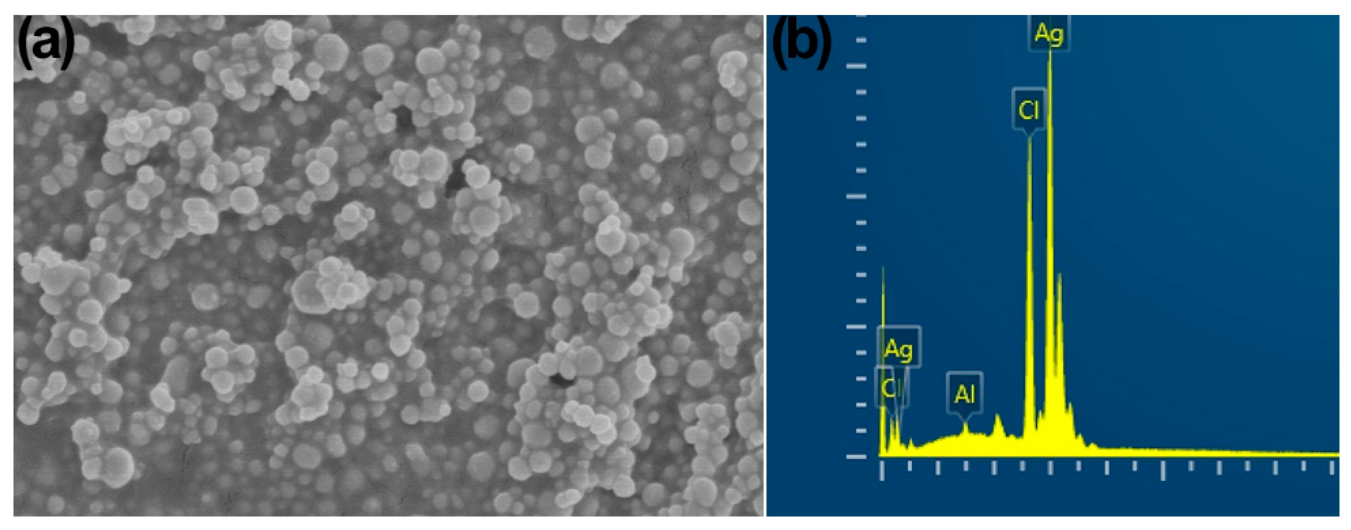 Plants 12 01817 g003 Plants 12 01817 g003