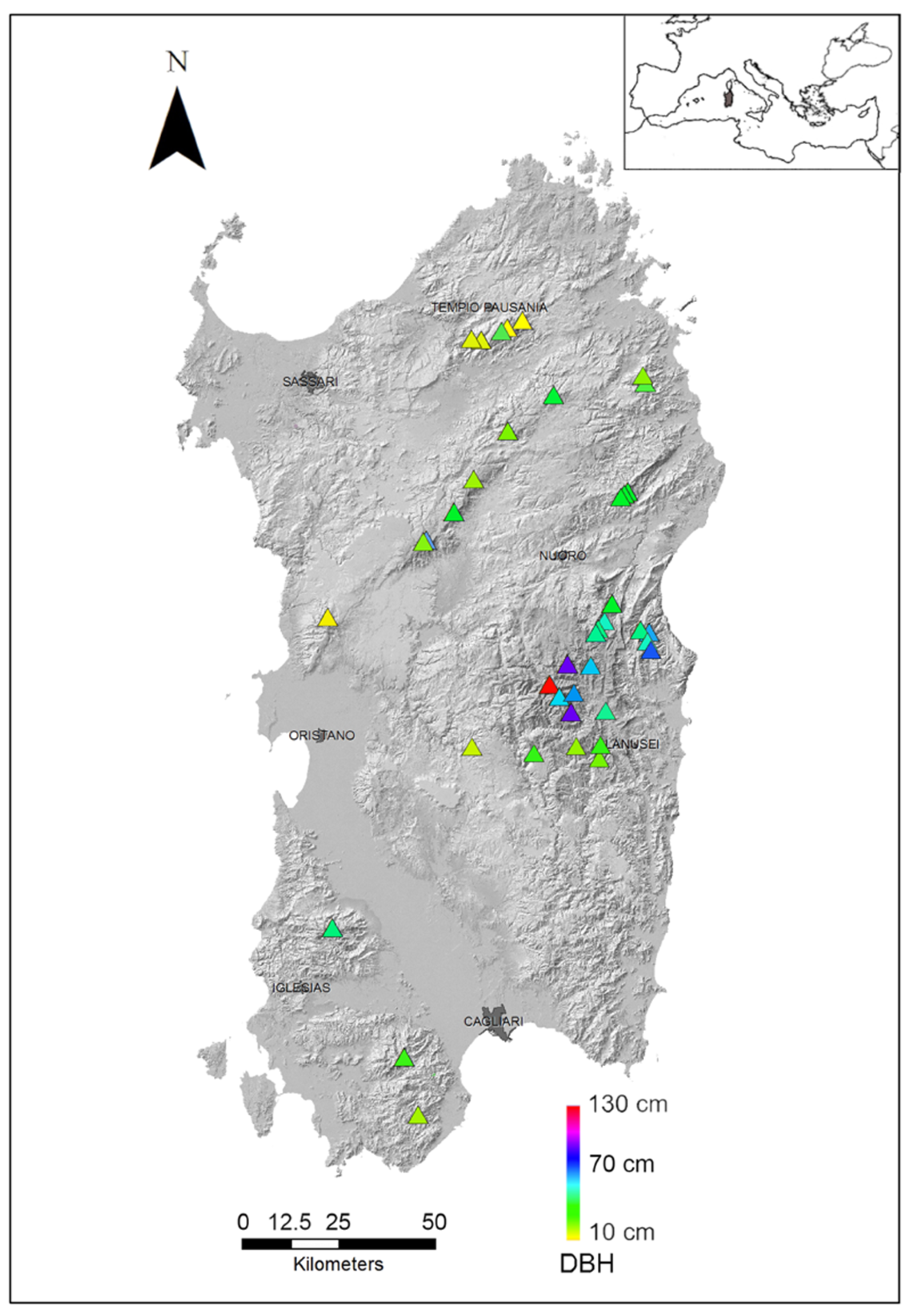 Plants 12 01819 g001